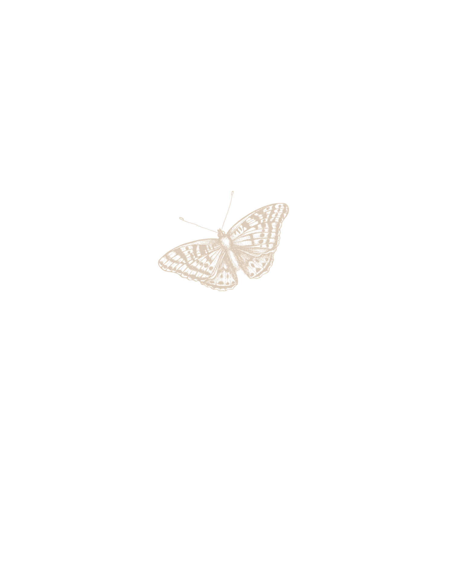 Custom vintage brand graphic of butterfly for Gypsy Lens Photography, a Northeast Ohio documentary wedding and elopement storyteller.