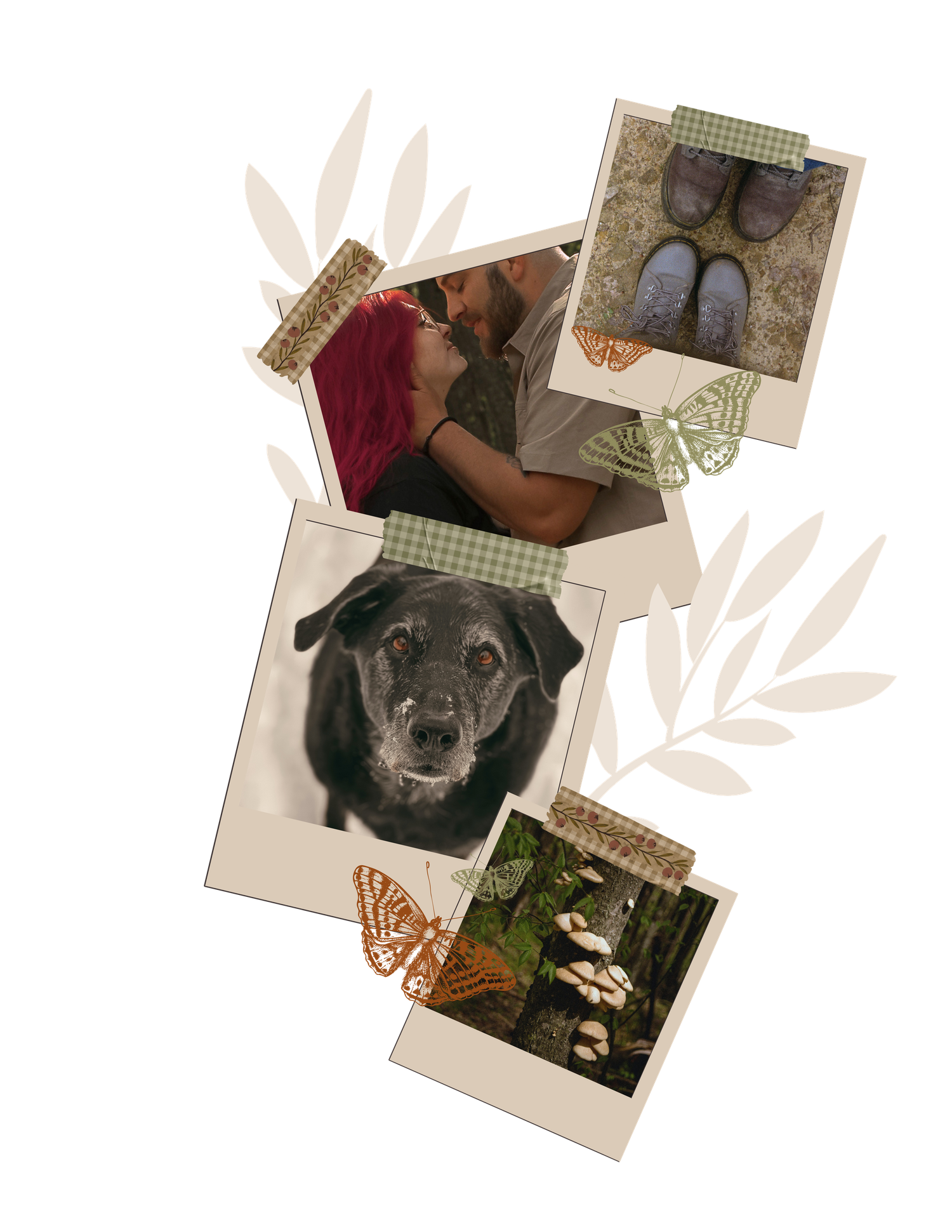 Custom vintage brand graphic of polaroid's for Gypsy Lens Photography, Northeast Ohio documentary wedding and elopement photography.