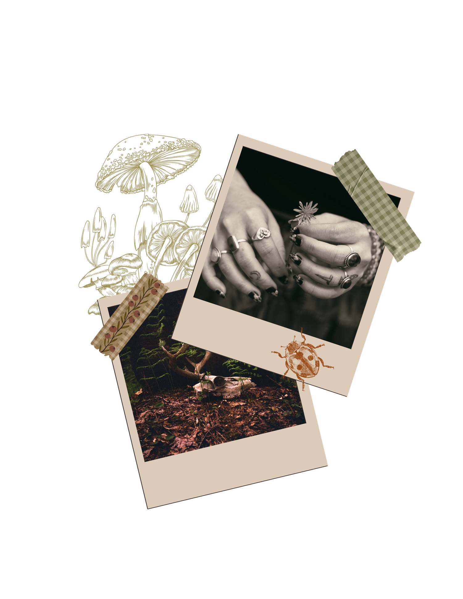 Custom vintage brand graphic of polaroid's for Gypsy Lens Photography, Northeast Ohio documentary wedding and elopement photography.