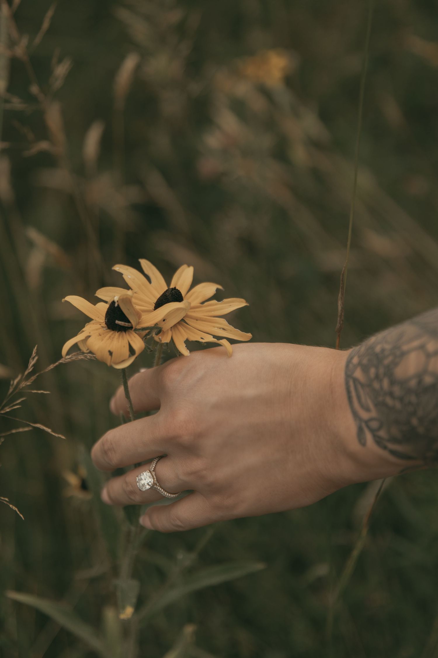 Engagement ring in a wildflower meadow in Lake County Ohio by Gypsy Lens Photography. Moody, filmy, vintage, documentary wedding photography
