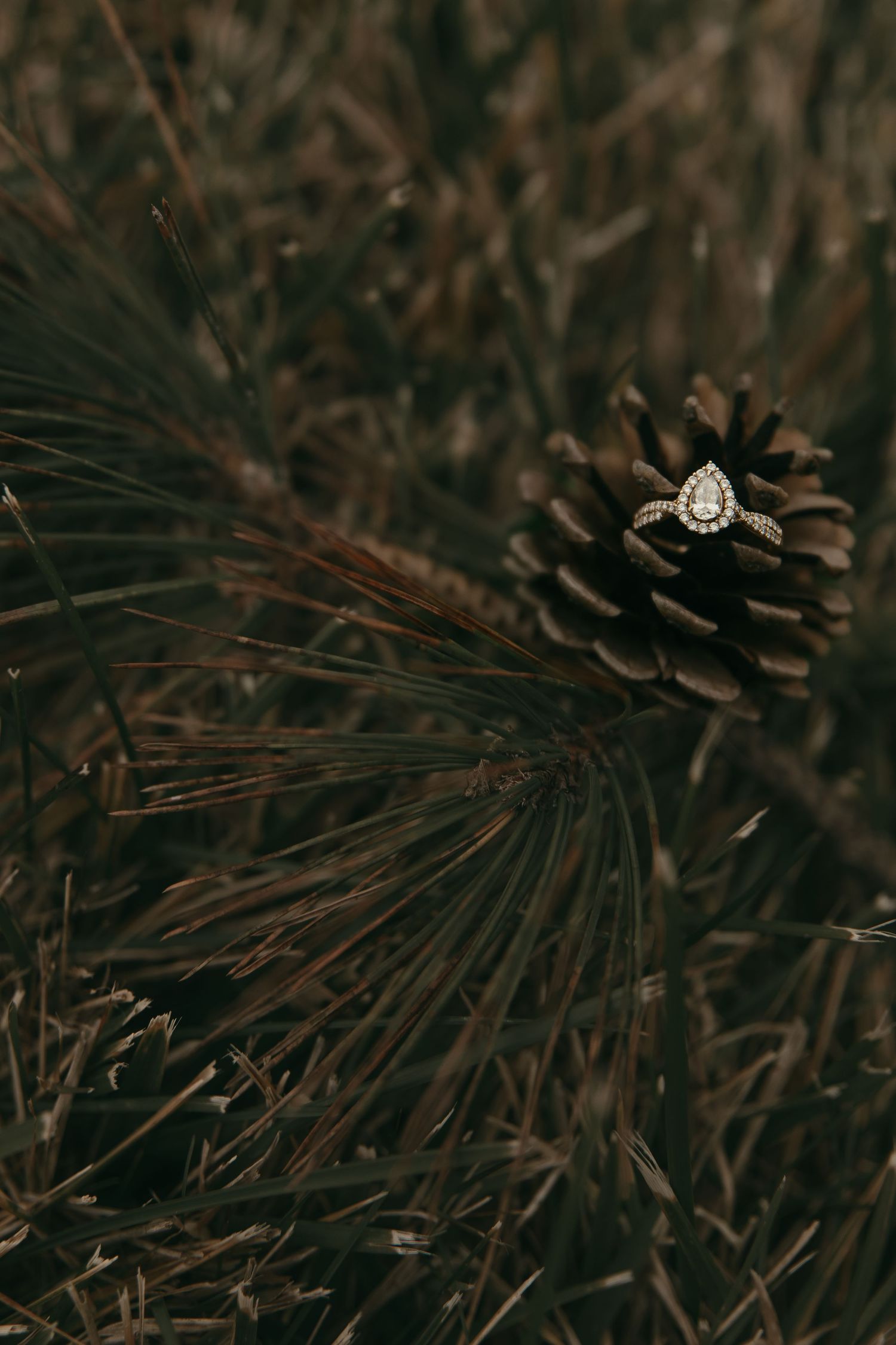 Close up of diamond ring in Lake County Ohio by Gypsy Lens Photography. Moody, filmy, vintage, documentary wedding photography