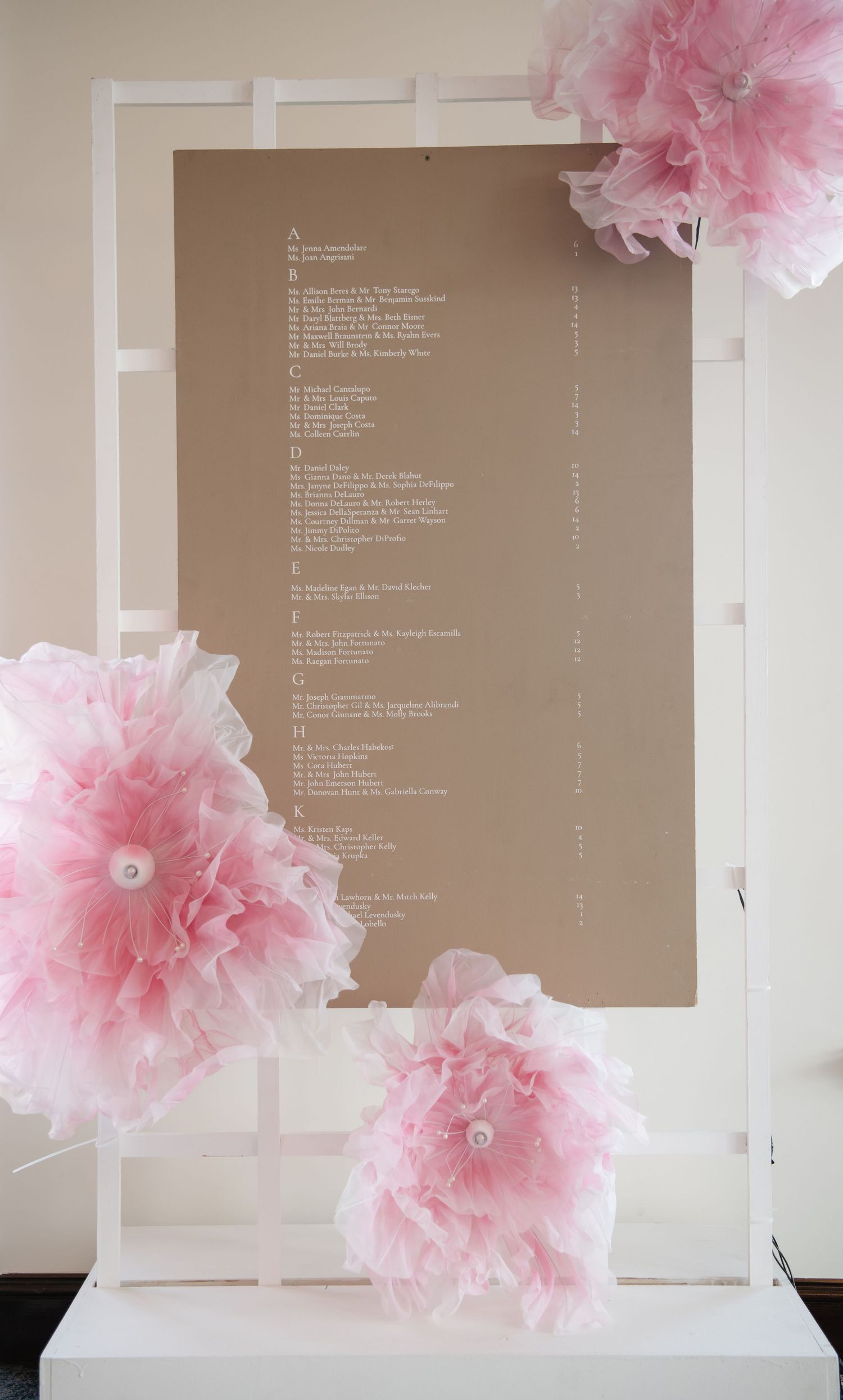 Pink tissue paper pom poms decorating a white wall with text display.