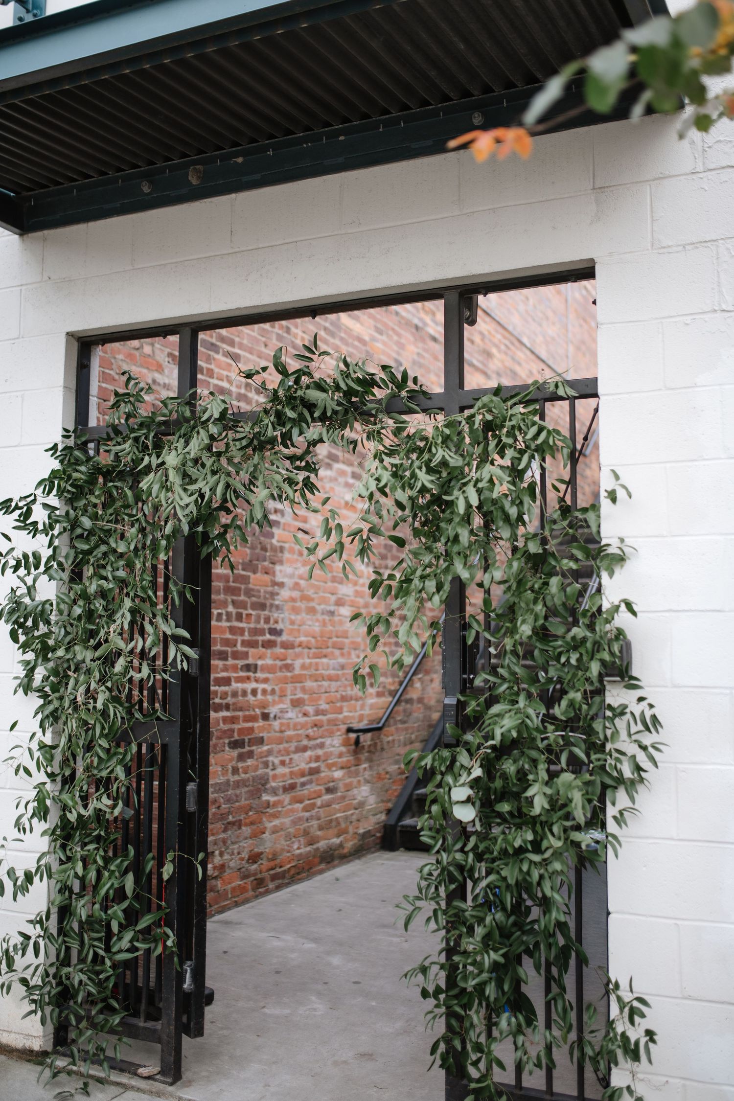 An industrial-style entrance with exposed brick walls and climbing vines on white walls.