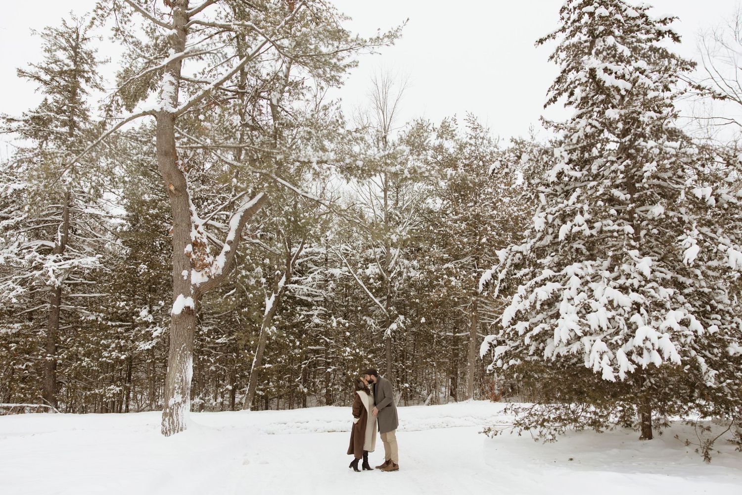 A couple embraces romantically among snow-covered pine trees in a peaceful winter wonderland setting.