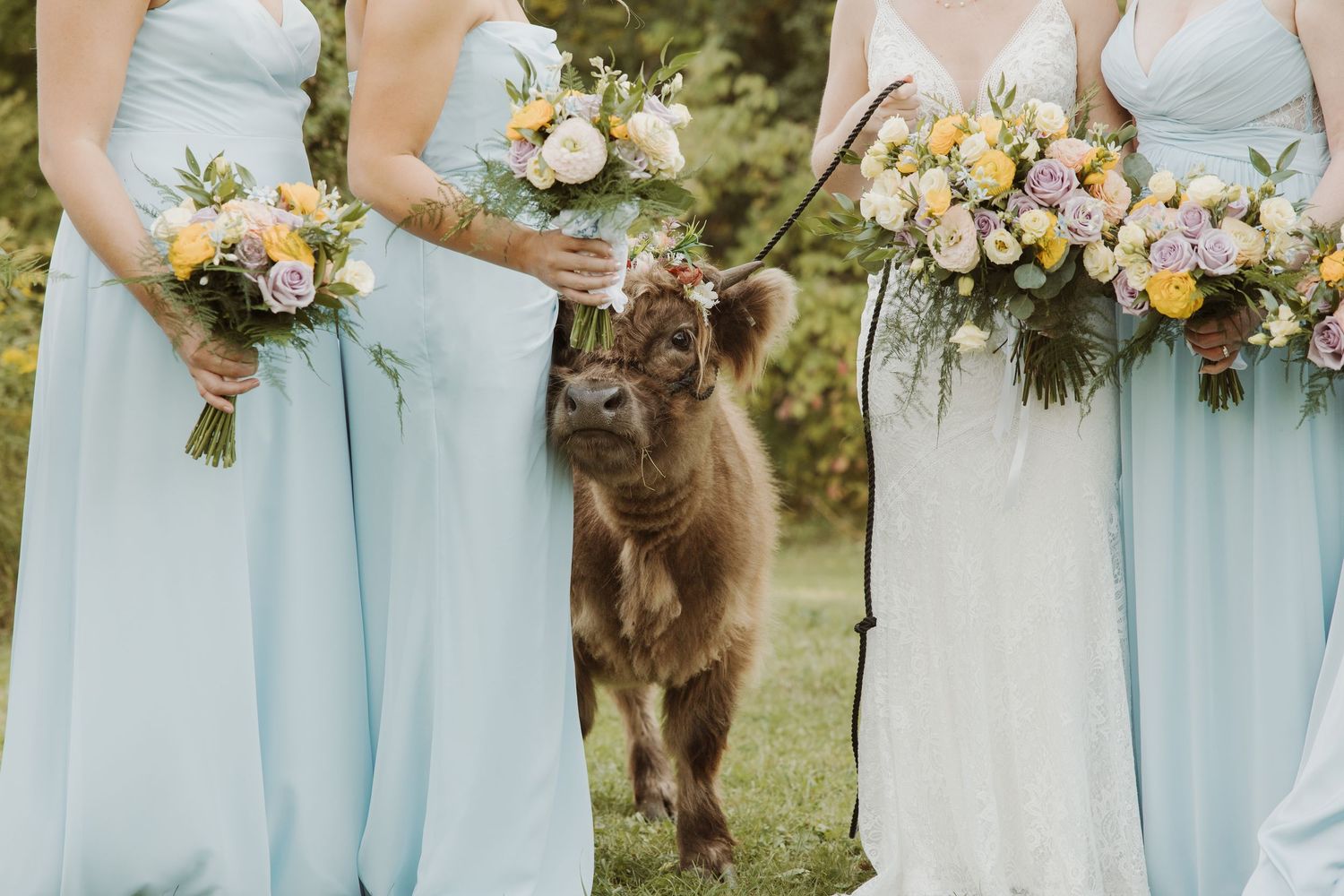 Ontario Wedding