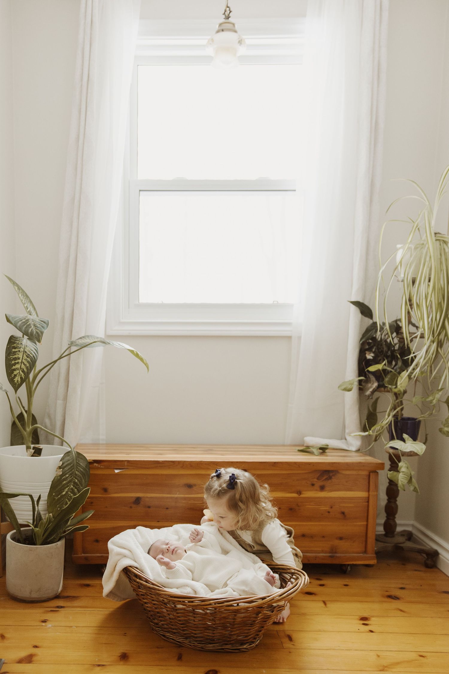 Young girl in white dress gently touching her newborn sibling in a wicker basket by a bright window.