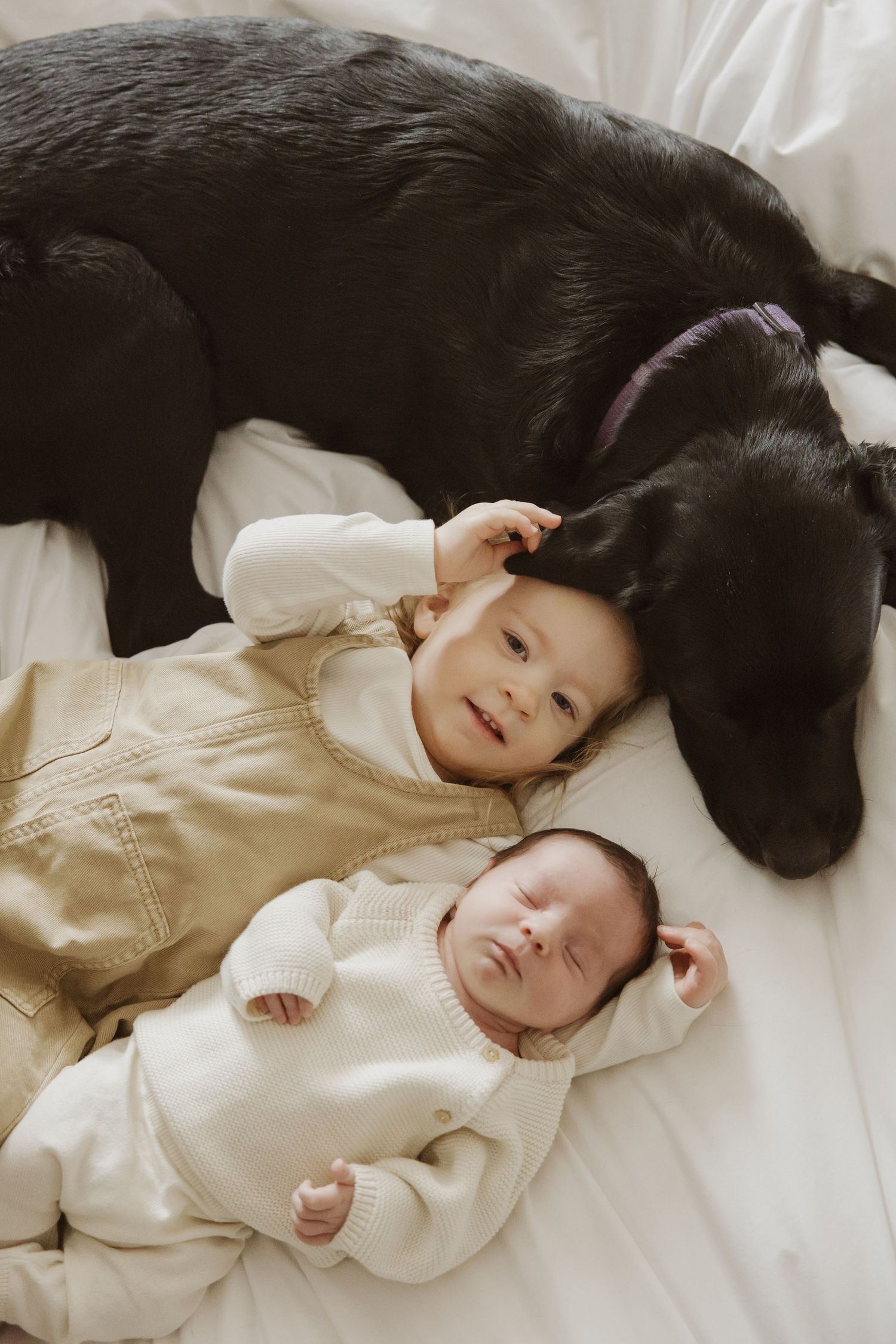 Newborn baby and toddler lying with a black dog on white bedding in a sweet family moment.