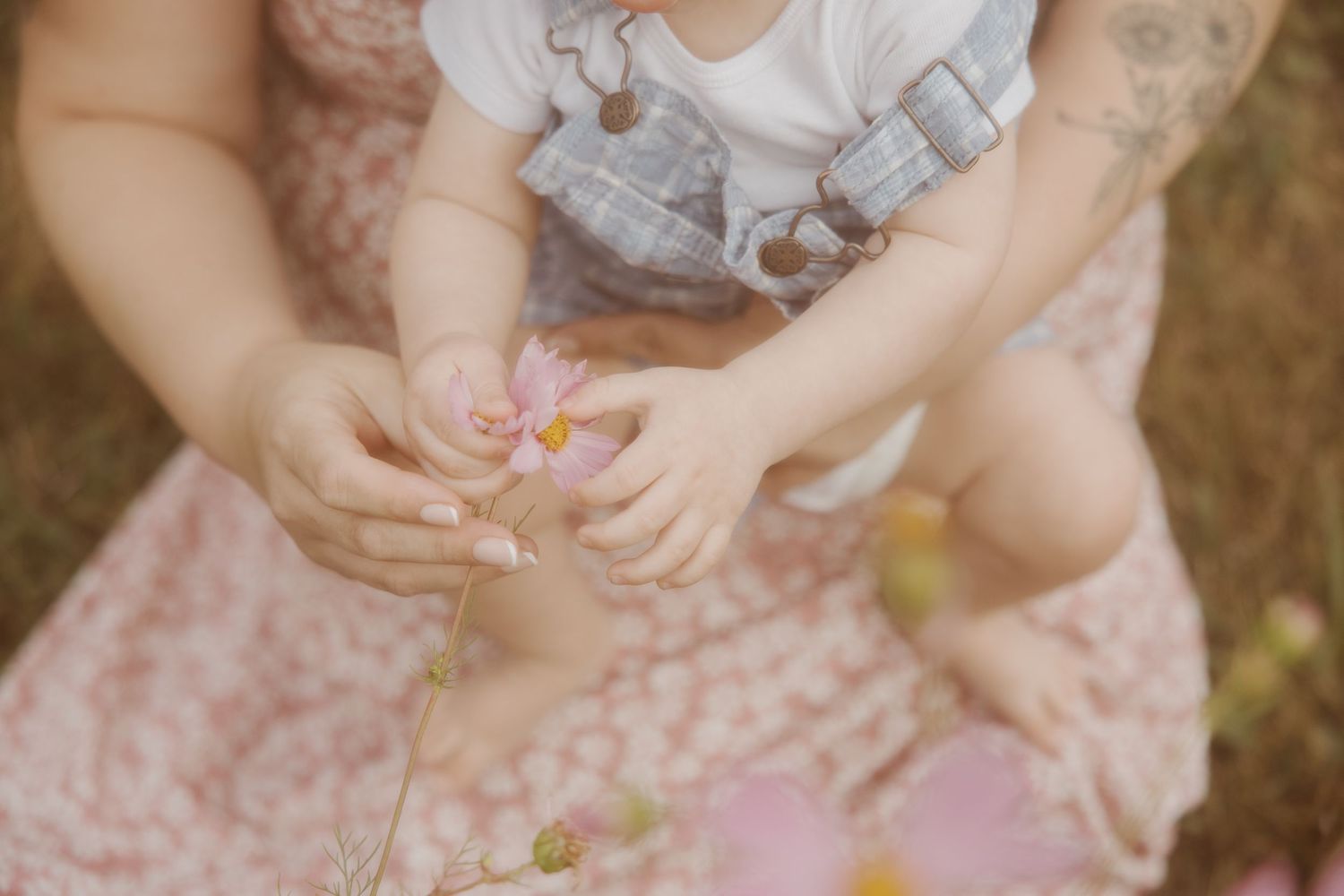 Mother and baby hands holding a delicate pink flower together outdoors.