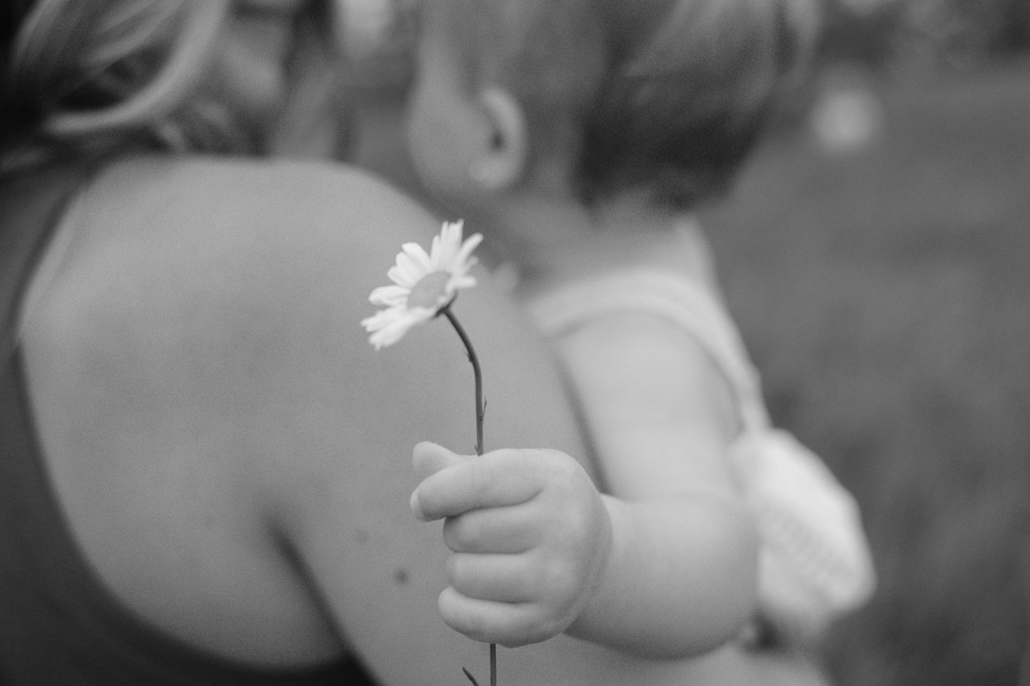 Black and white close-up of a toddler holding a daisy while being carried by their mother.