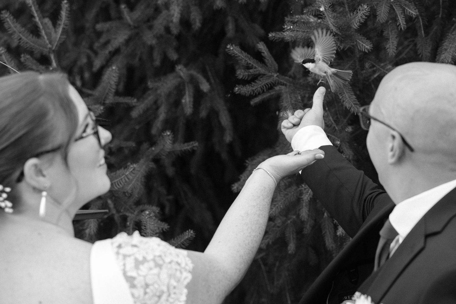 Ontario Wedding