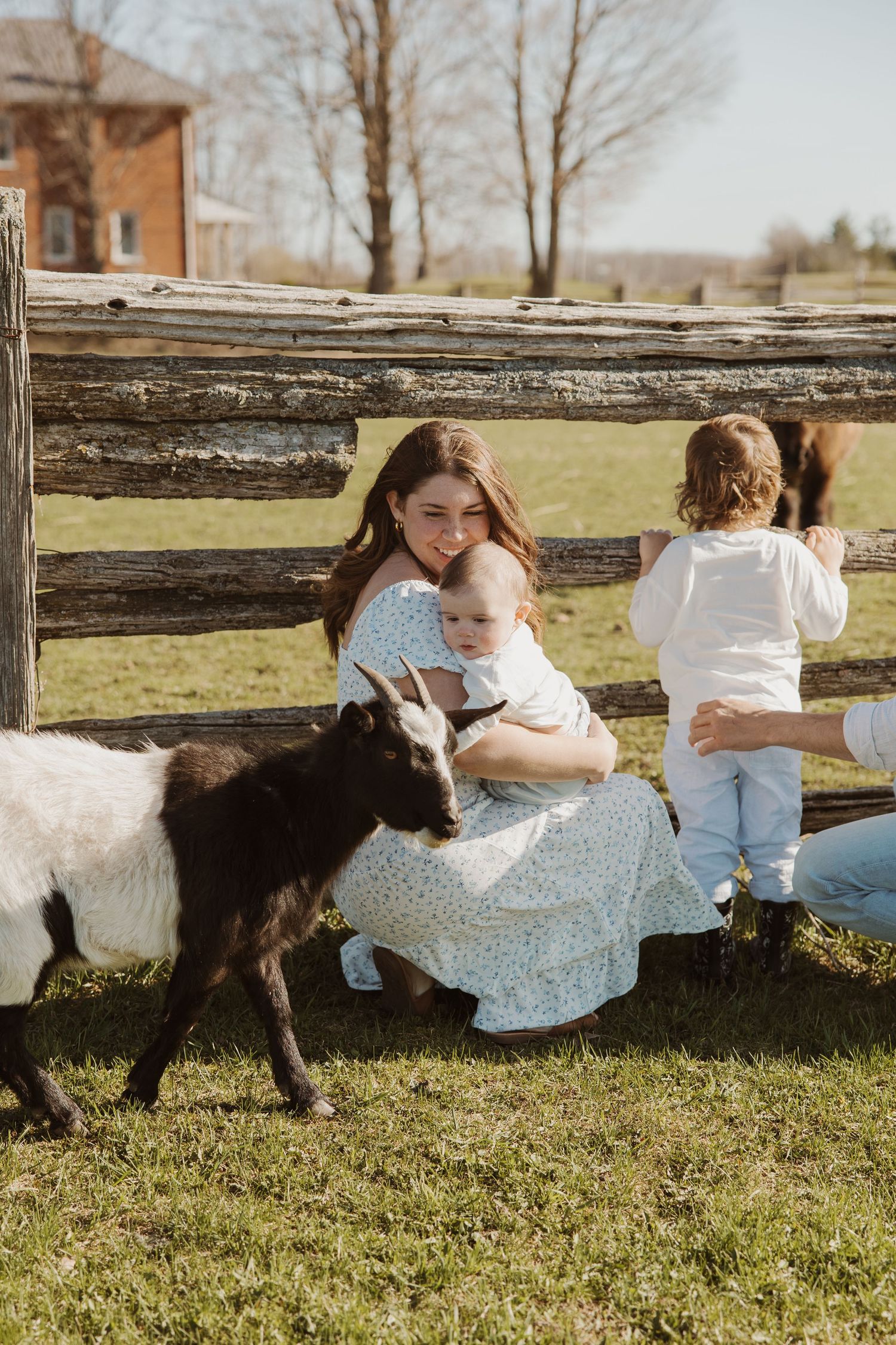 Mother holding newborn baby while toddler explores a wooden fence near a friendly goat on a farm.