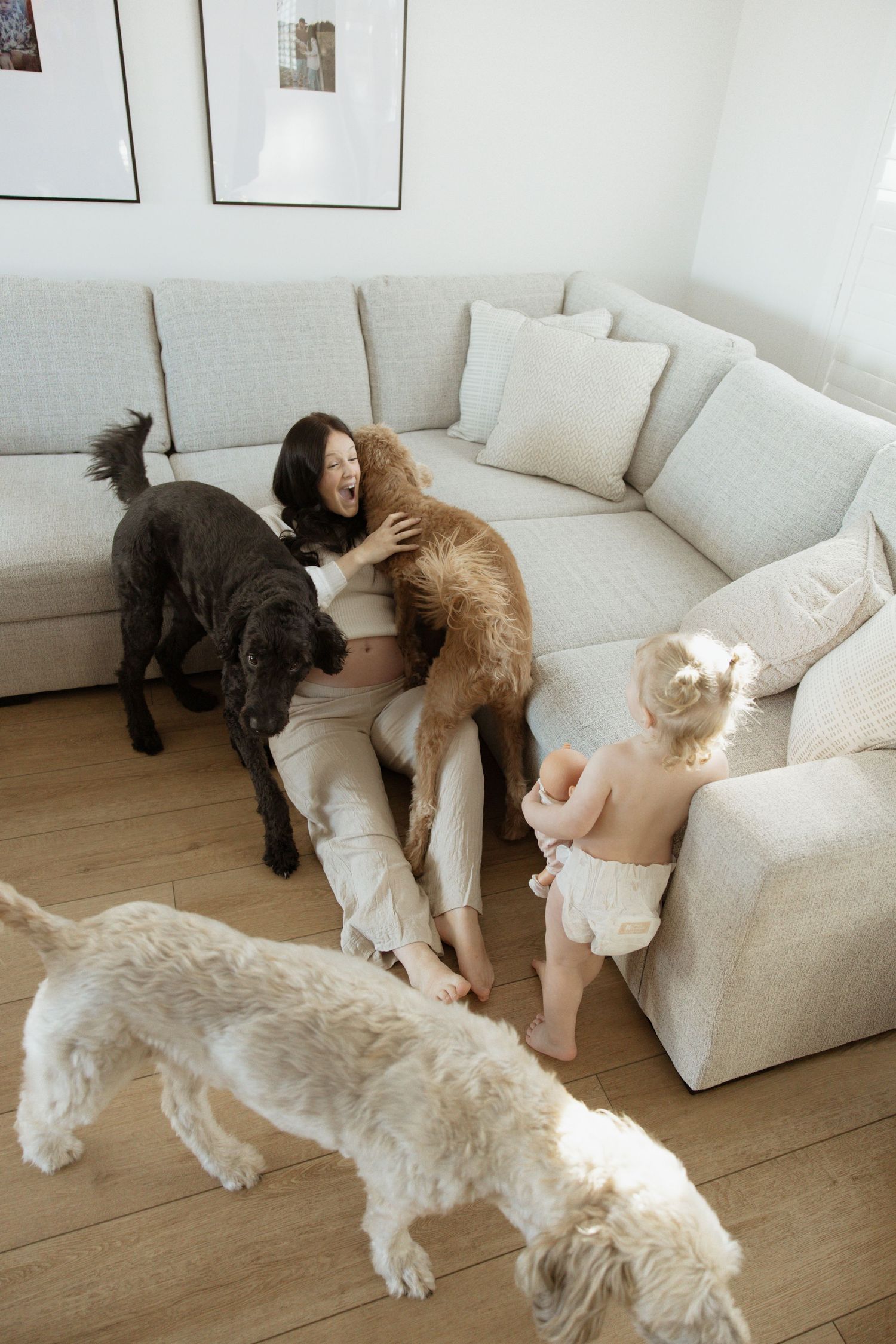 Pregnant woman on couch surrounded by three dogs and toddler in bright living room.