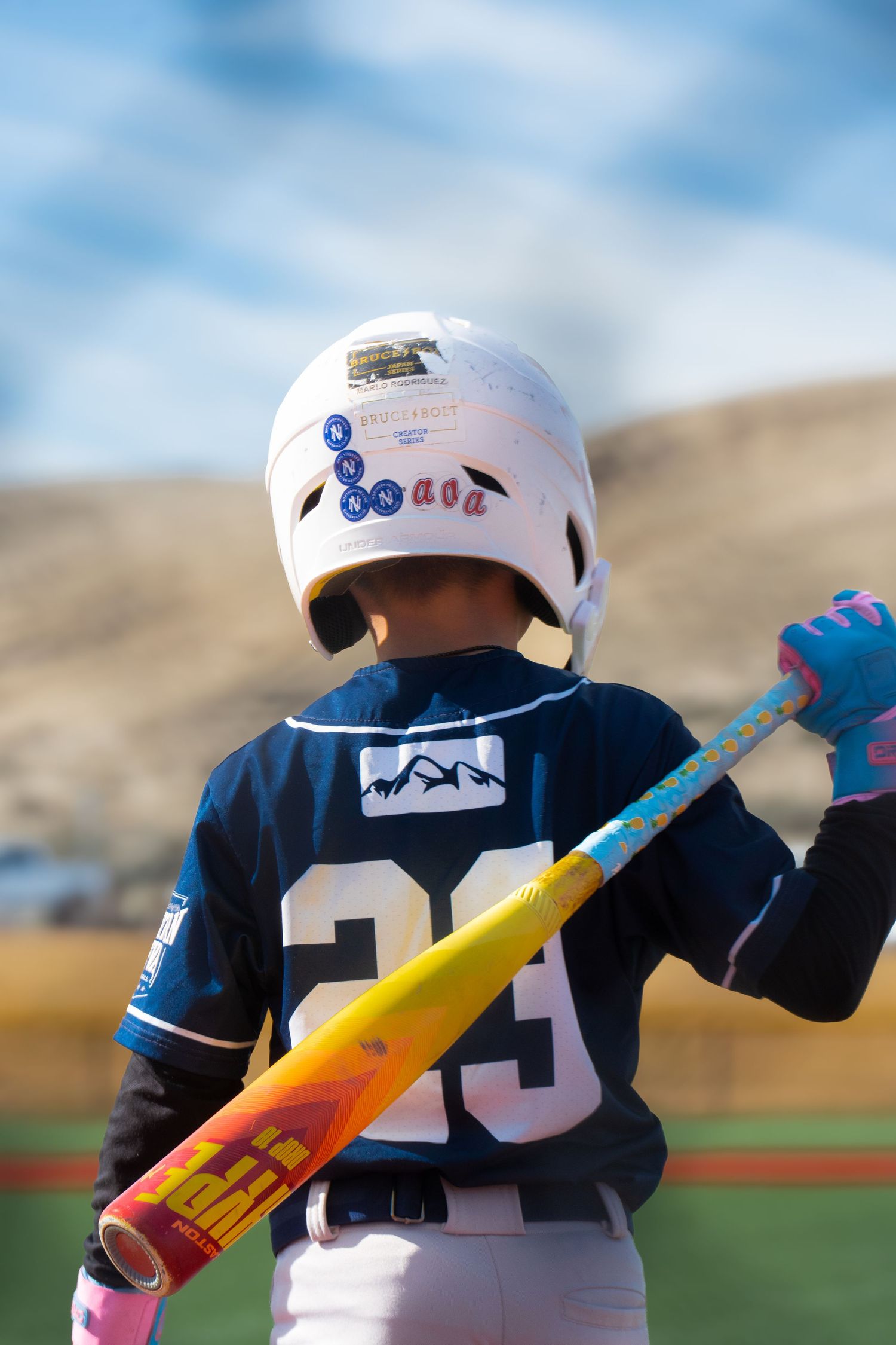 Young baseball player in navy uniform holding colorful bat viewed from behind on field.
