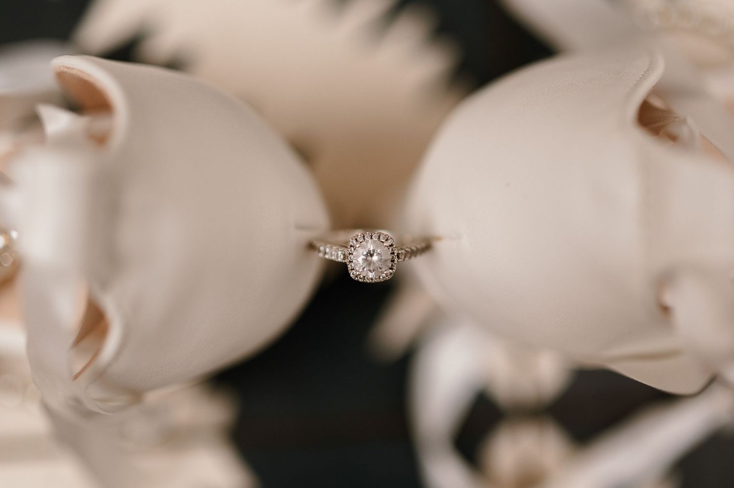 Close-up of an elegant halo diamond engagement ring nestled among white floral blooms.