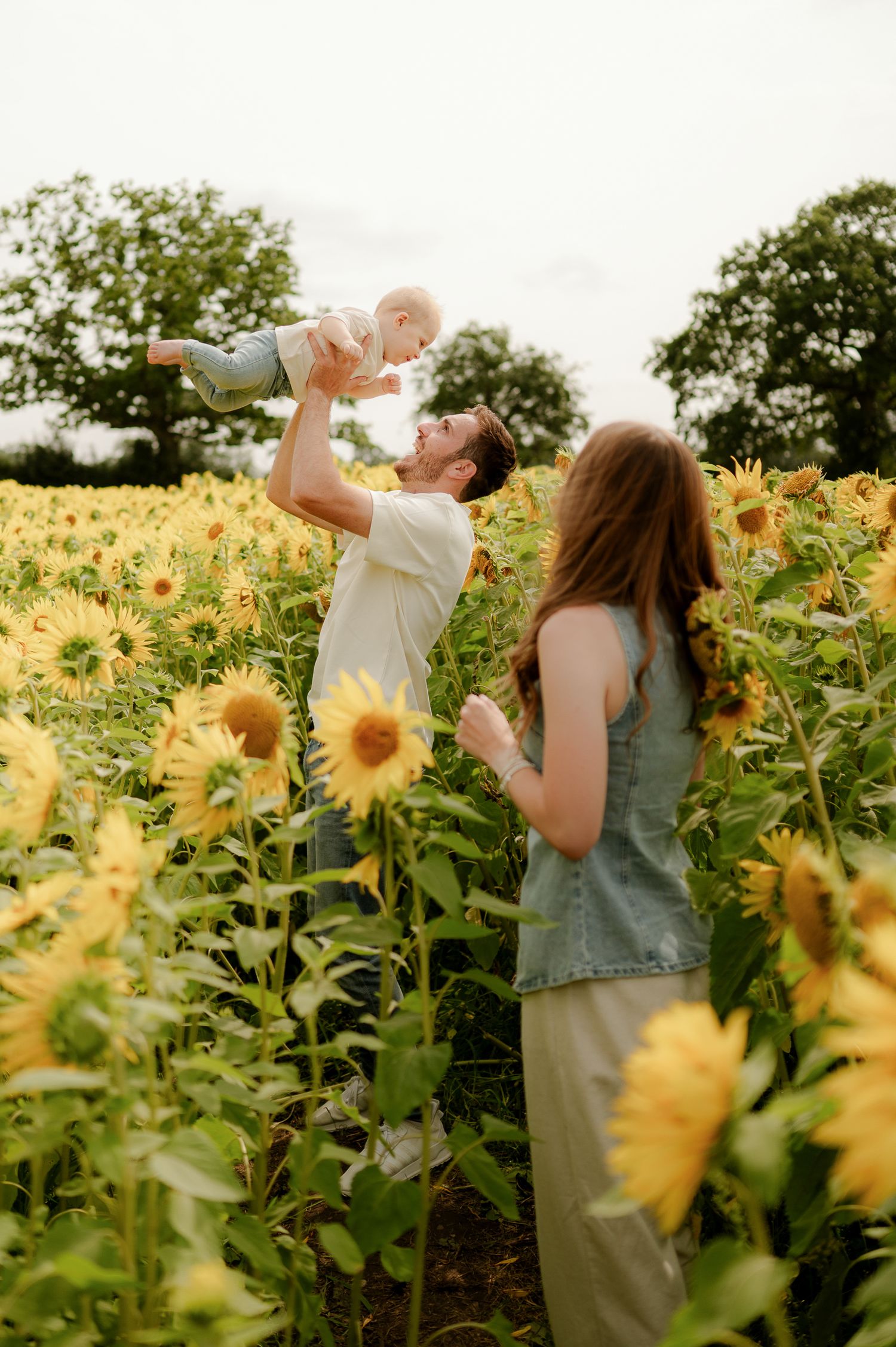 Parents lifting baby joyfully in a vibrant sunflower field on a bright summer day.