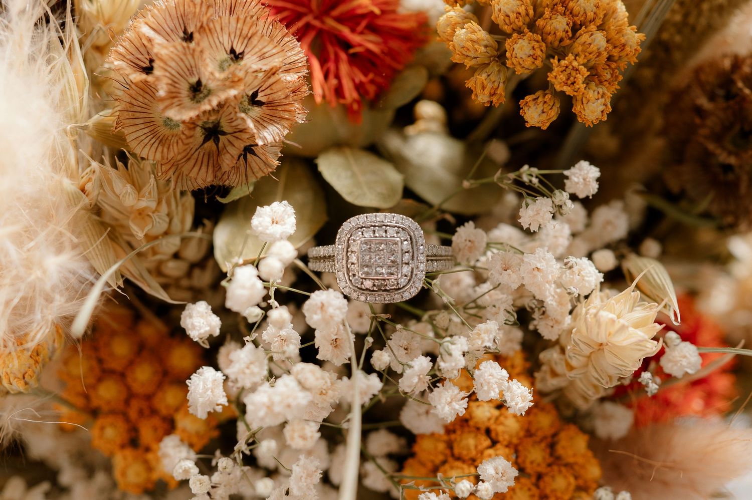 Diamond cushion-cut engagement ring displayed among dried autumn floral arrangement with warm tones.