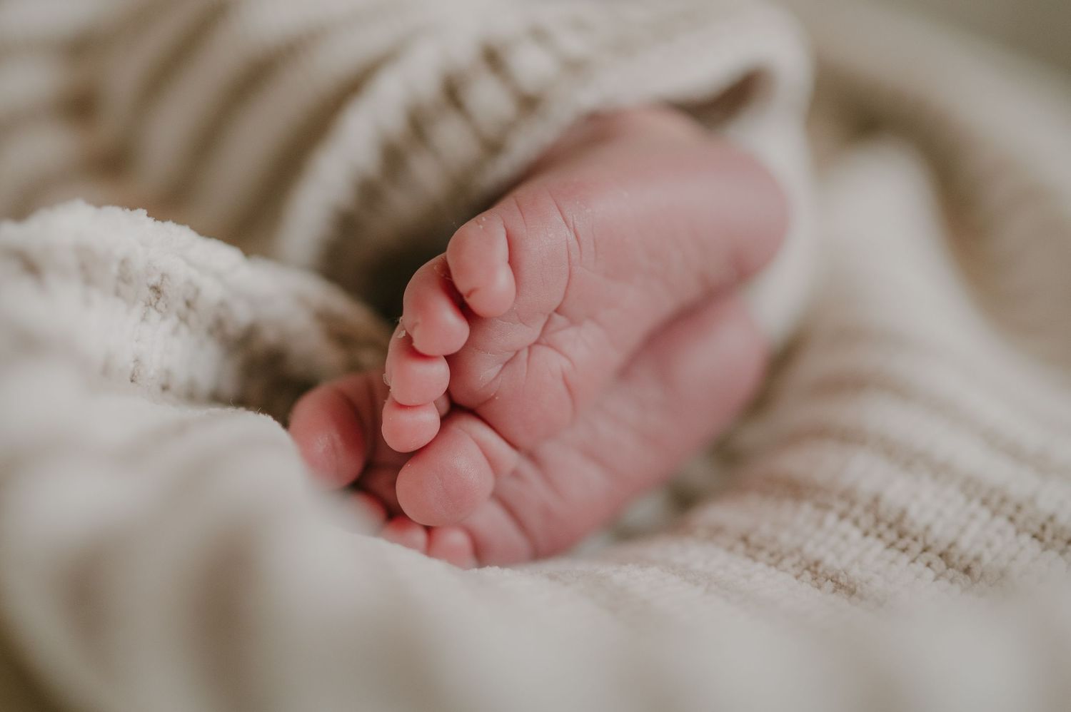 Close-up of tiny newborn baby feet wrapped in soft cream knit blanket during newborn session.