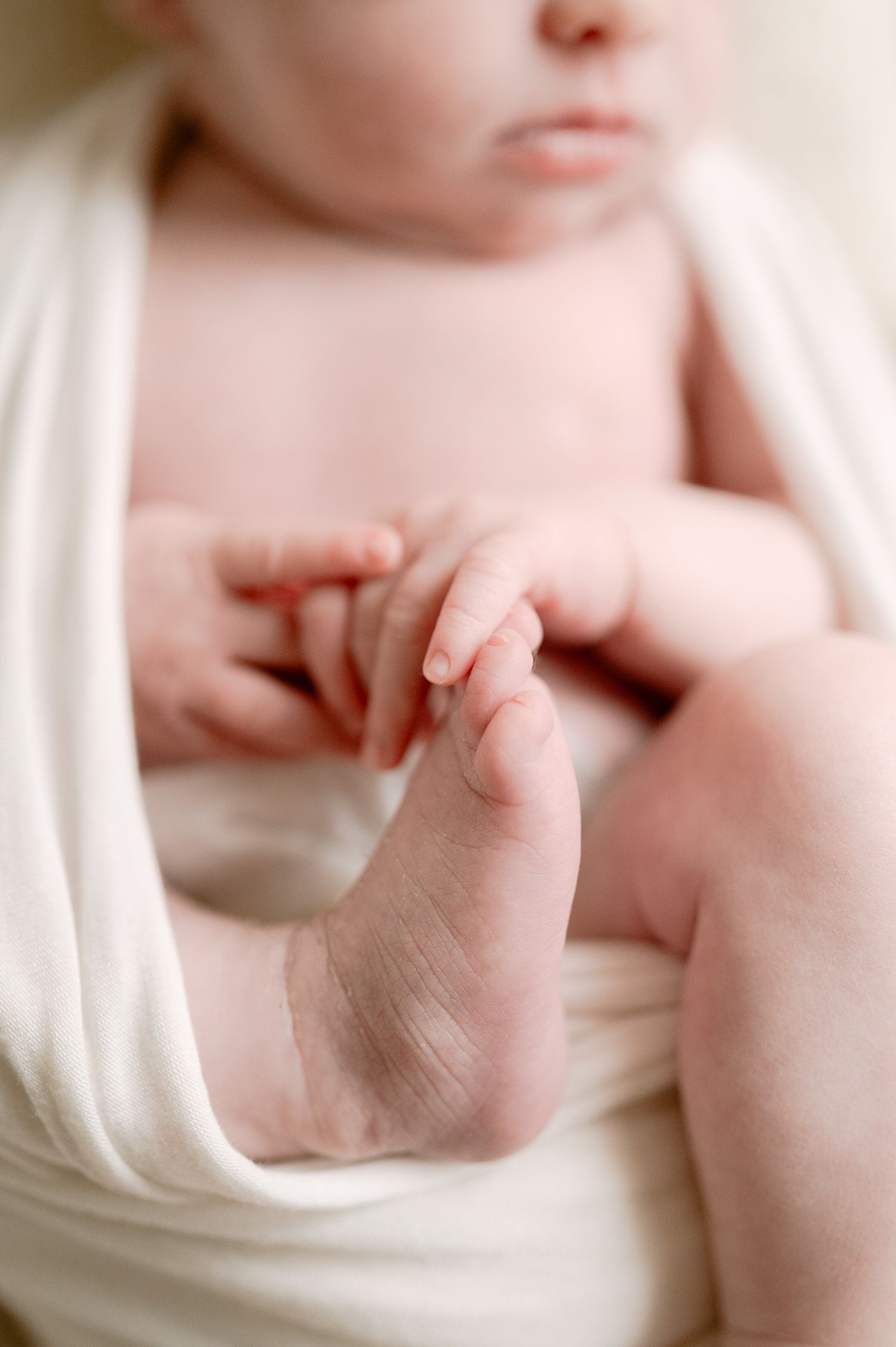 Close-up of a baby's tiny foot and hands wrapped in a soft white swaddle. Newborn Photography, Redditch, Worcestershire, Warwickshire