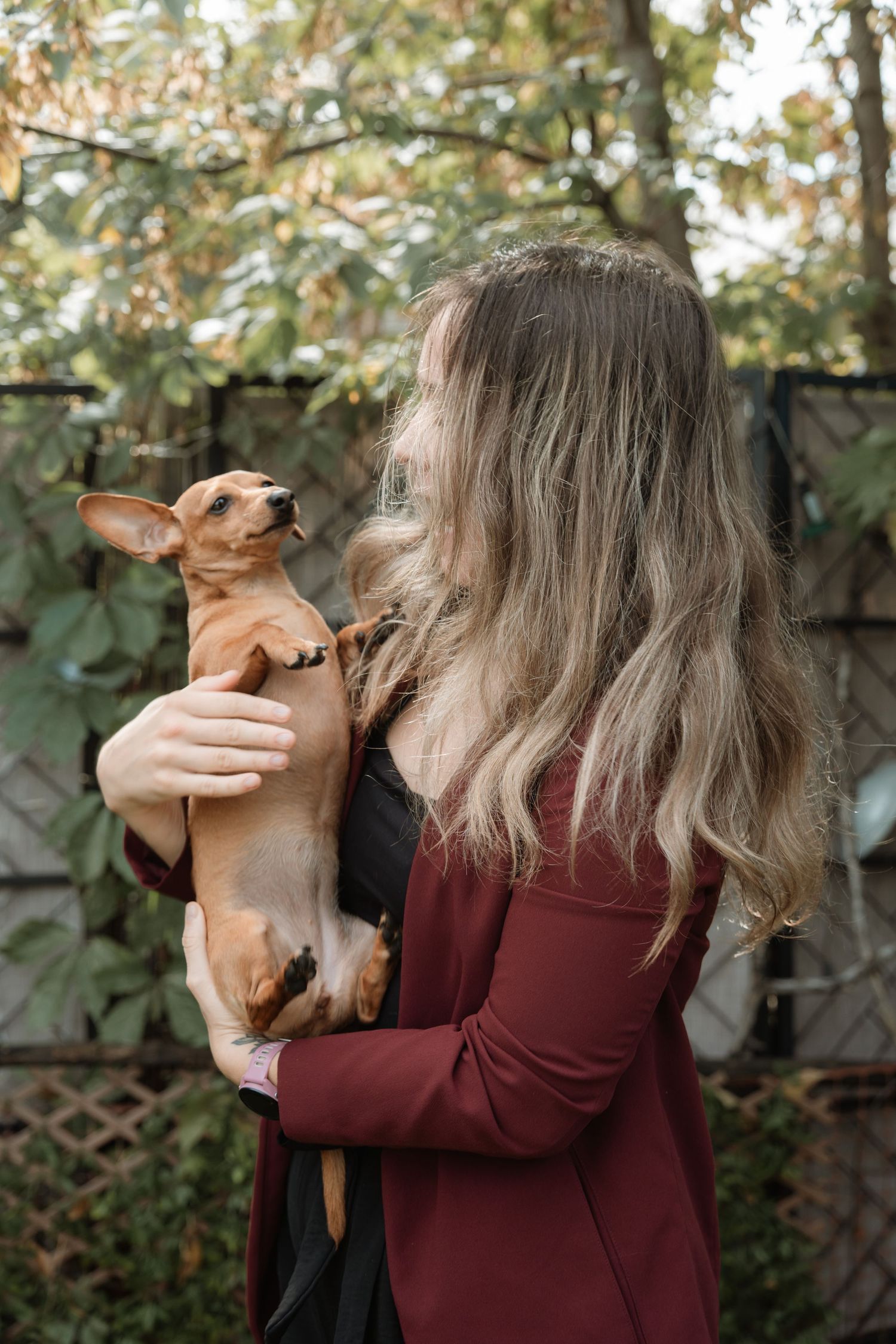 A young woman with blonde hair in a red blazer holds a small brown Chihuahua dog outdoors near a green fence. Regina, Saskatchewan.
