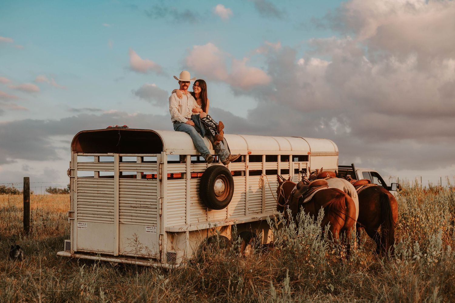 Horse trailer silhouetted against dramatic clouds during sunset in an open field.