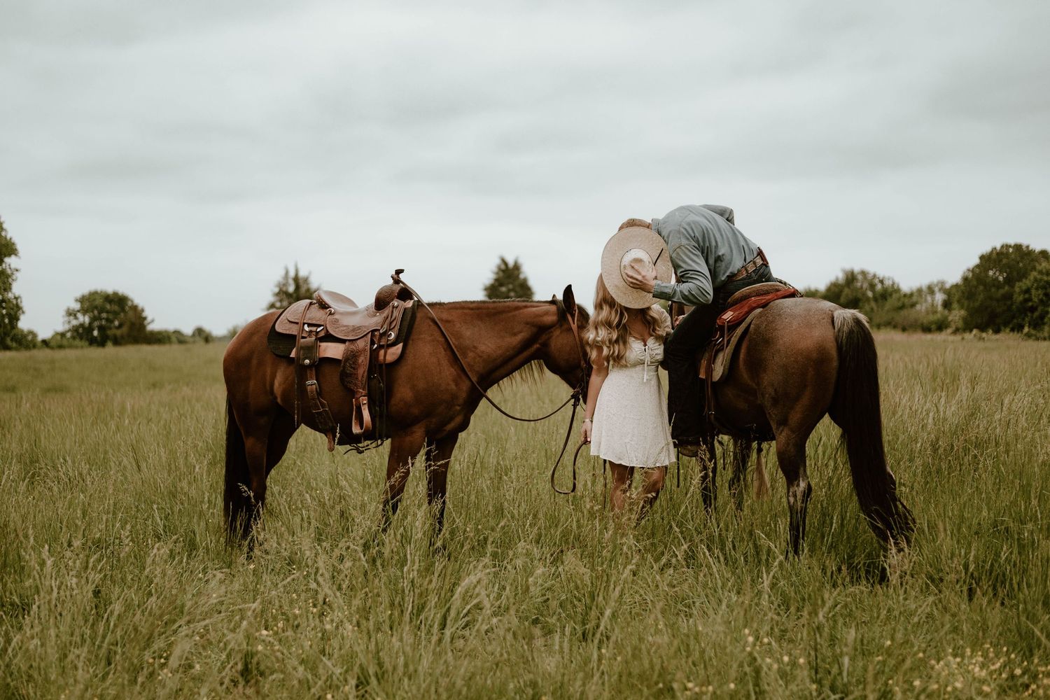 Horses grazing together in a peaceful meadow at sunset.