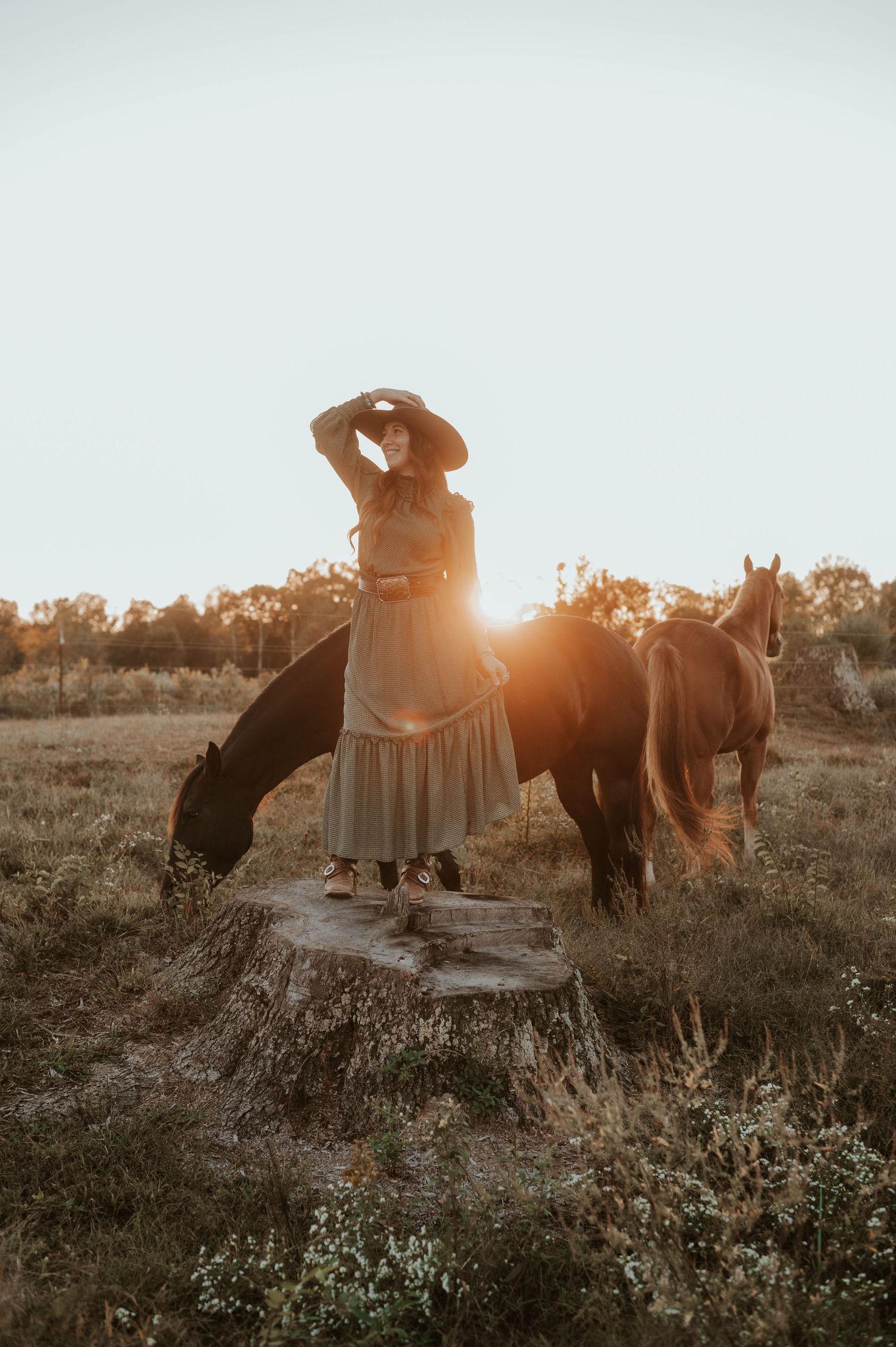 Sunset scene with horses in a wildflower-filled meadow.