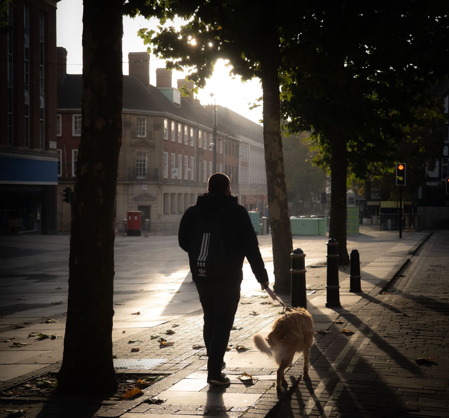 A silhouetted figure walks a dog on an empty street at sunset with long shadows cast across the pavement.
