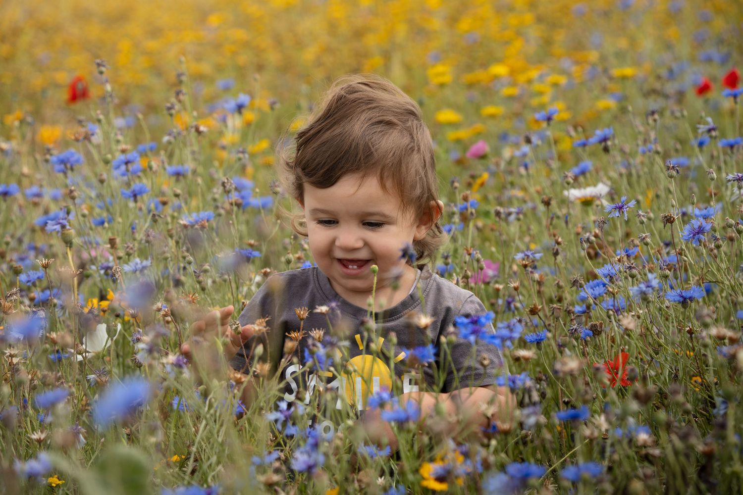 Children exploring in a vibrant wildflower meadow with yellow and red blooms.