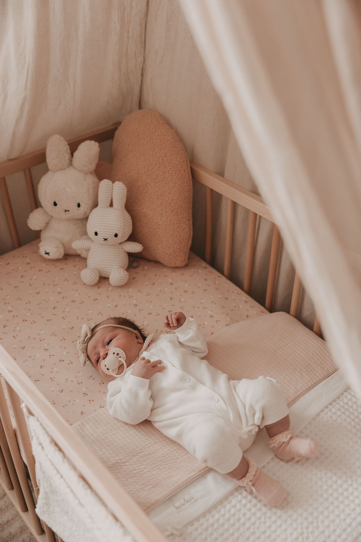 Een baby in haar bedje met lieve knuffels tijdens een newborn fotoshoot.