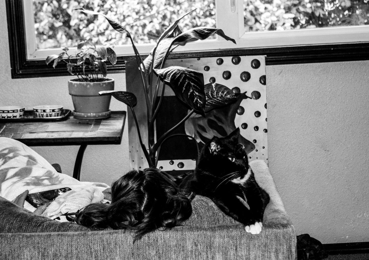 A black and white photograph shows a cat lounging on a window sill next to a potted plant.