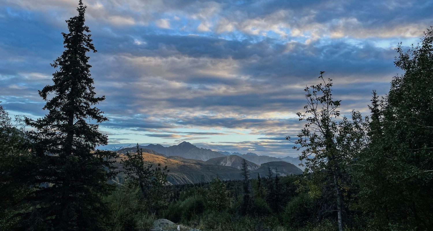 A panoramic mountain landscape with evergreen trees silhouetted against dramatic clouds and blue sky at sunset.