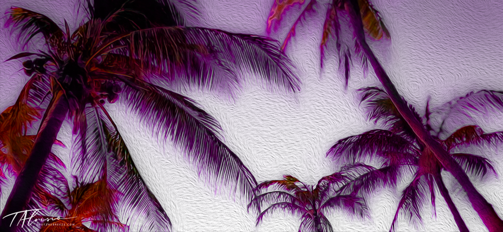 Purple-tinted palm trees silhouetted against tropical sky in panoramic sequence.