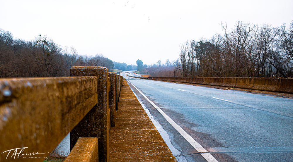 Panoramic view of an empty highway stretching into the distance with winter trees lining the road.