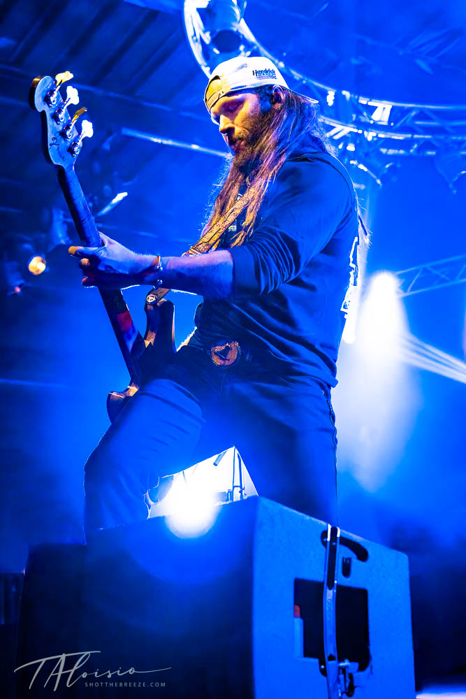 Concert performance sequence bathed in blue stage lighting showing musician in dramatic poses.