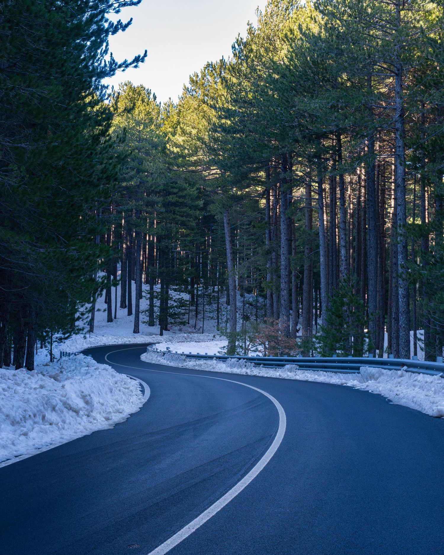 Strada innevata sull'Etna, fotografia paesaggistica, naturalistica contemplativa