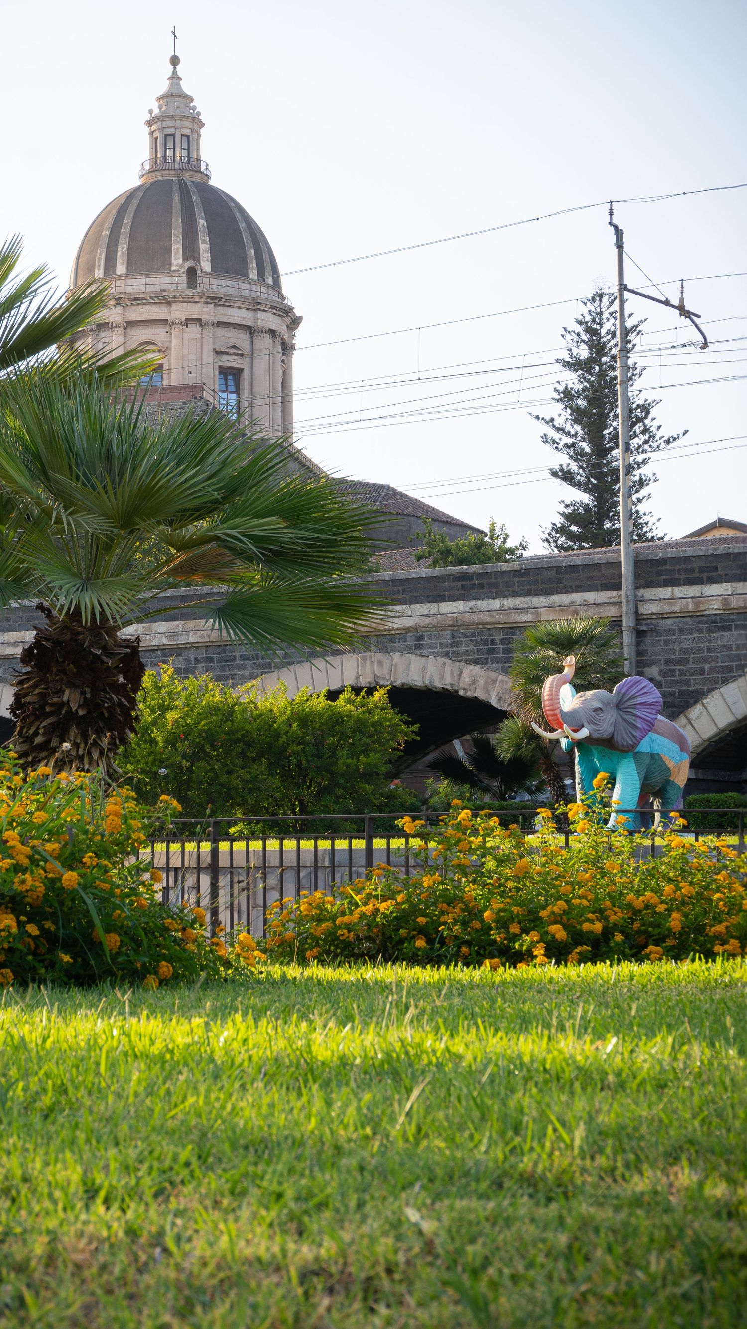 Giardino con cupola di Catania sullo sfondo, fotografia urbana mediterranea.