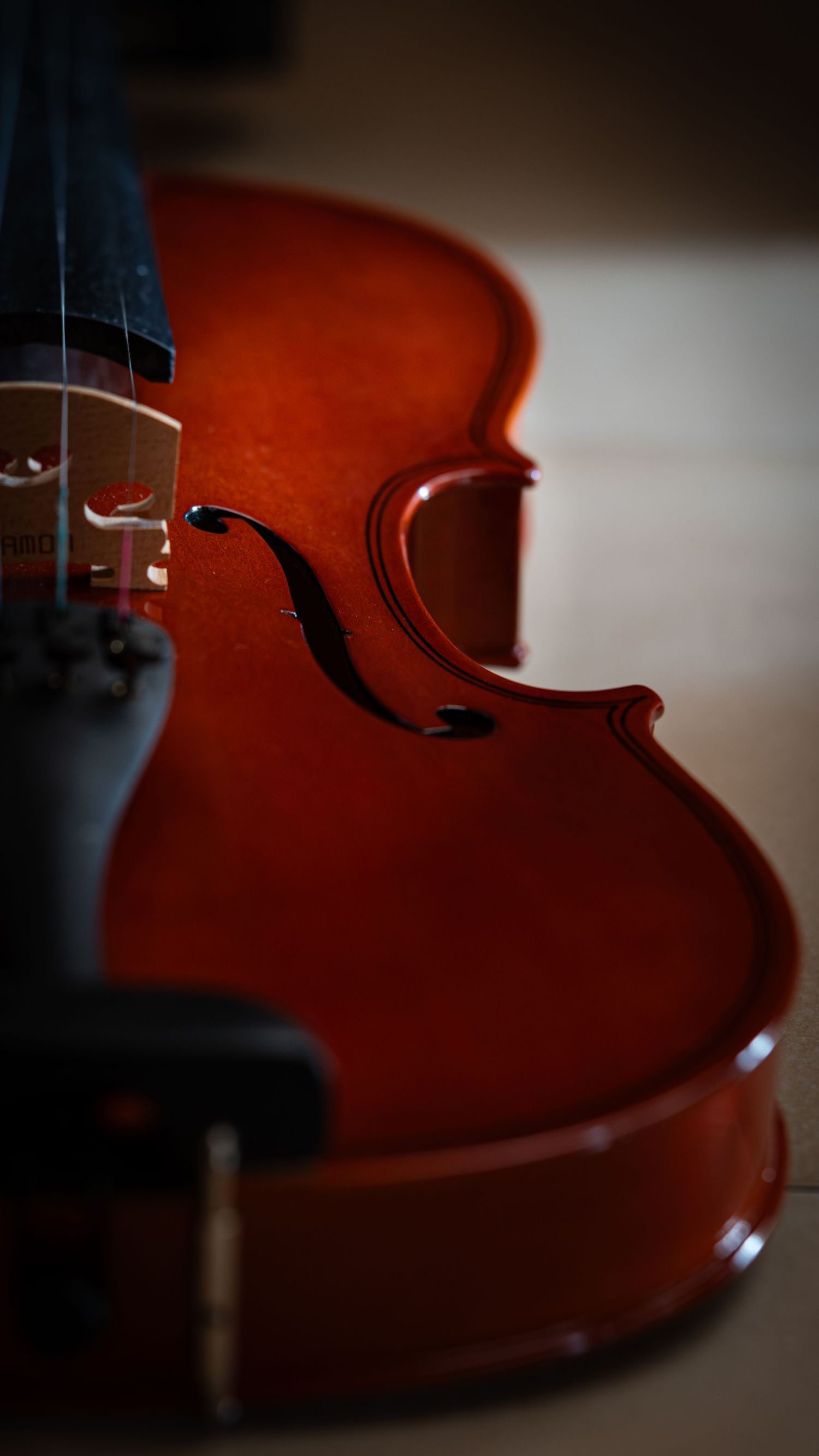 Violino in primo piano, fotografia artistica di strumento musicale con luce calda.