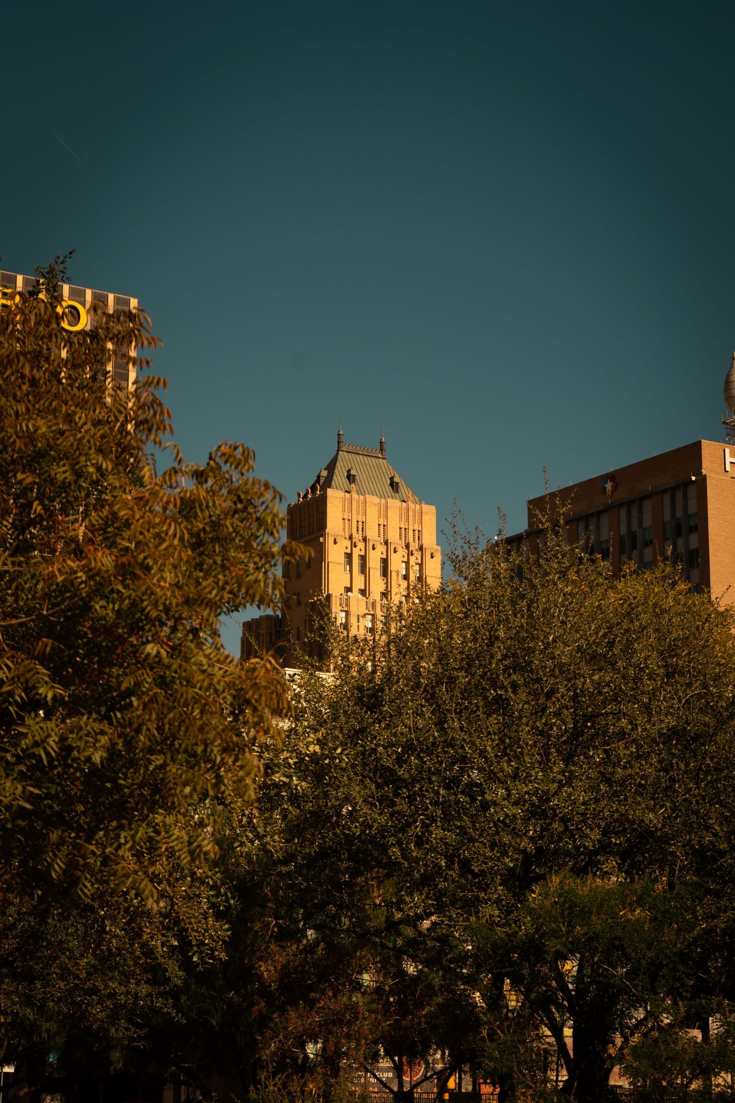 Sunset illuminates tall apartment buildings behind leafy green trees against a dark blue evening sky.