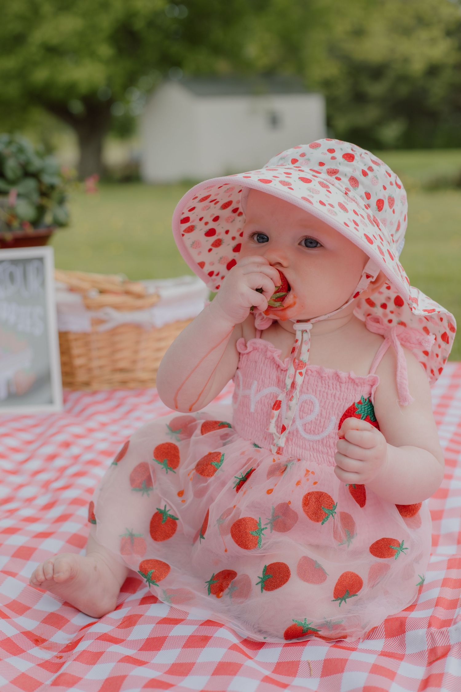 Baby girl in strawberry print dress and sun hat eating fruit at a picnic on red gingham blanket outdoors.