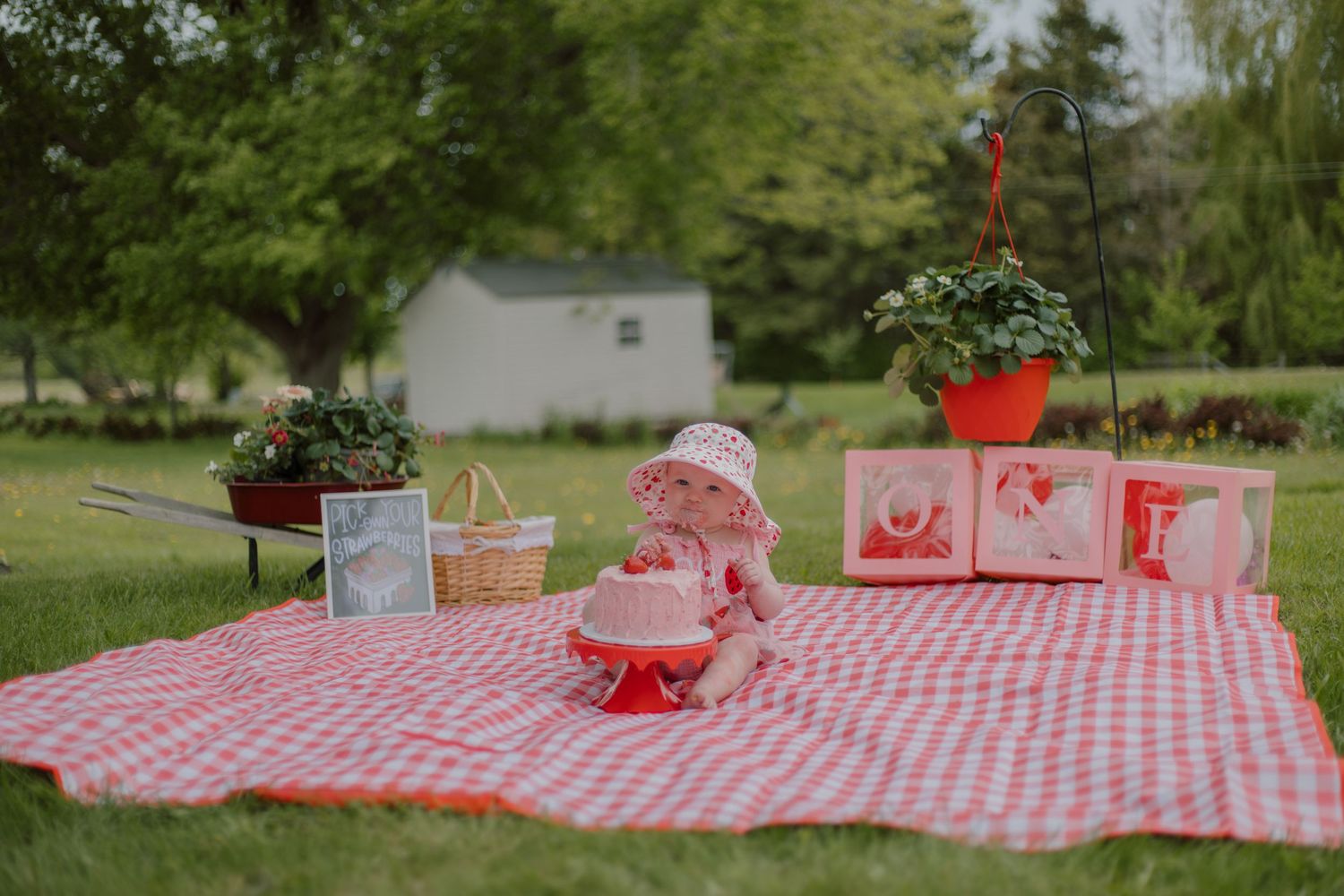 Baby in red outfit sits on checkered picnic blanket outdoors with birthday cake, blocks, and flower decorations.
