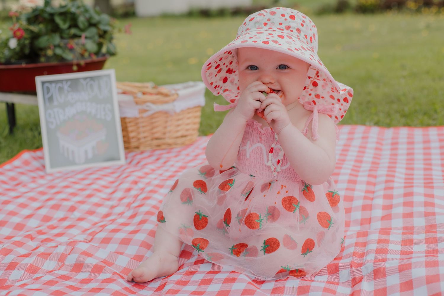 Baby girl in strawberry hat and dress sits on red gingham blanket at outdoor picnic, eating a treat.