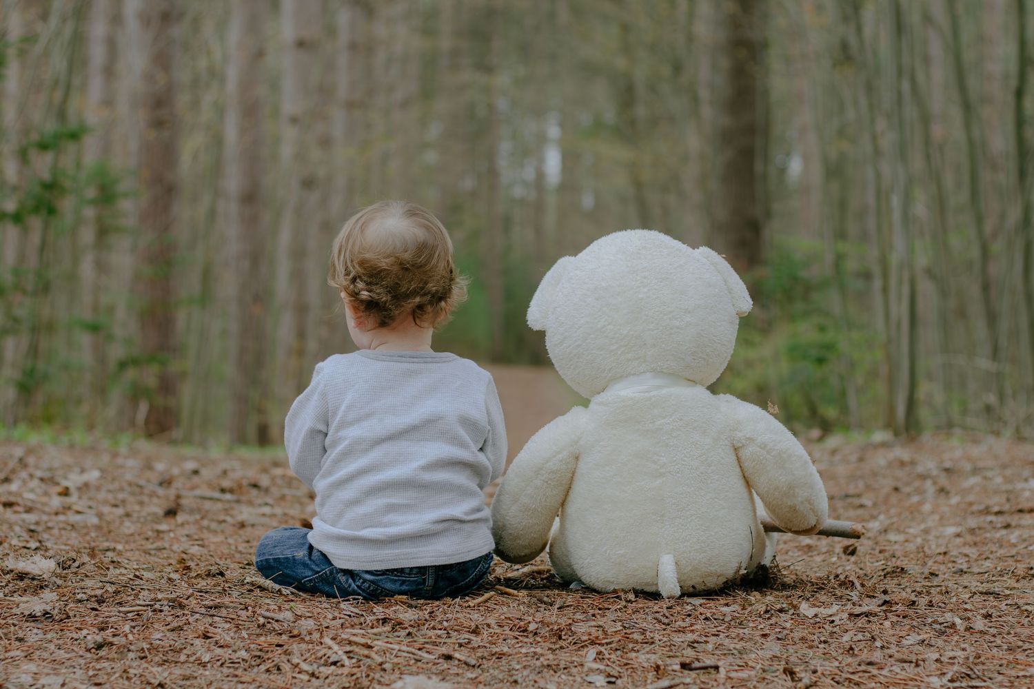 A family sits together on fallen leaves in a peaceful forest setting.