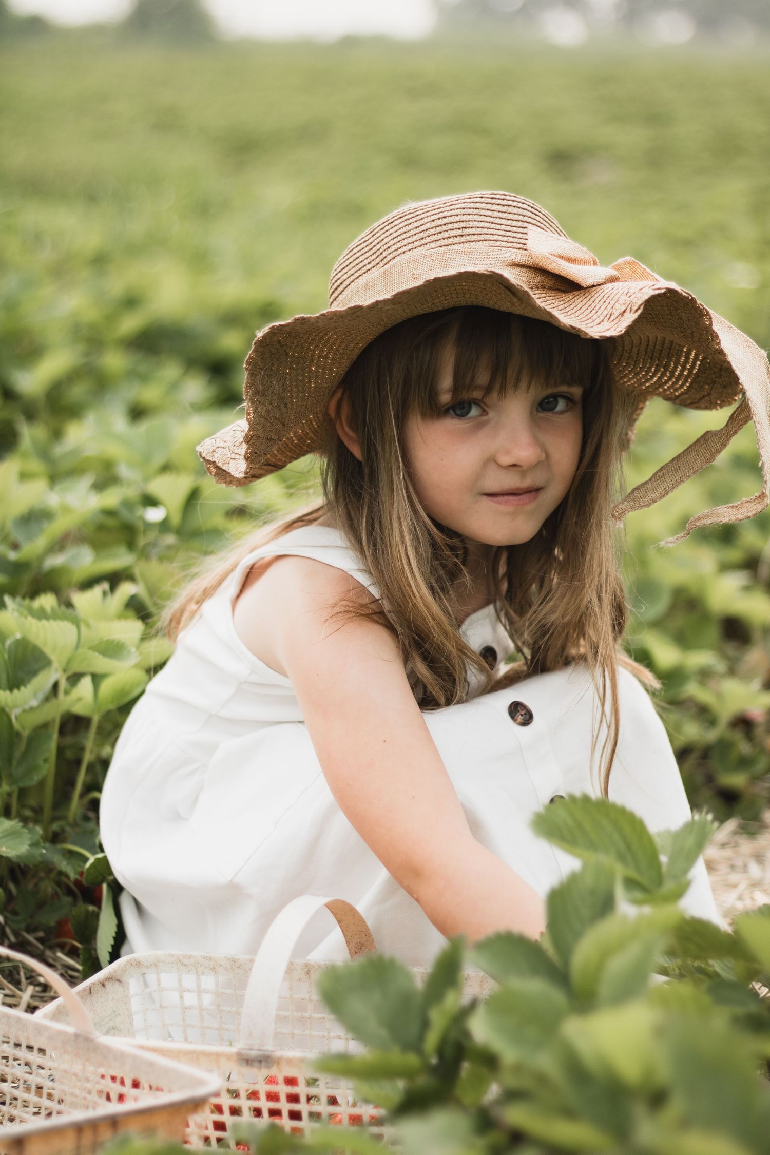 Young person in straw hat picking strawberries in sunny field.