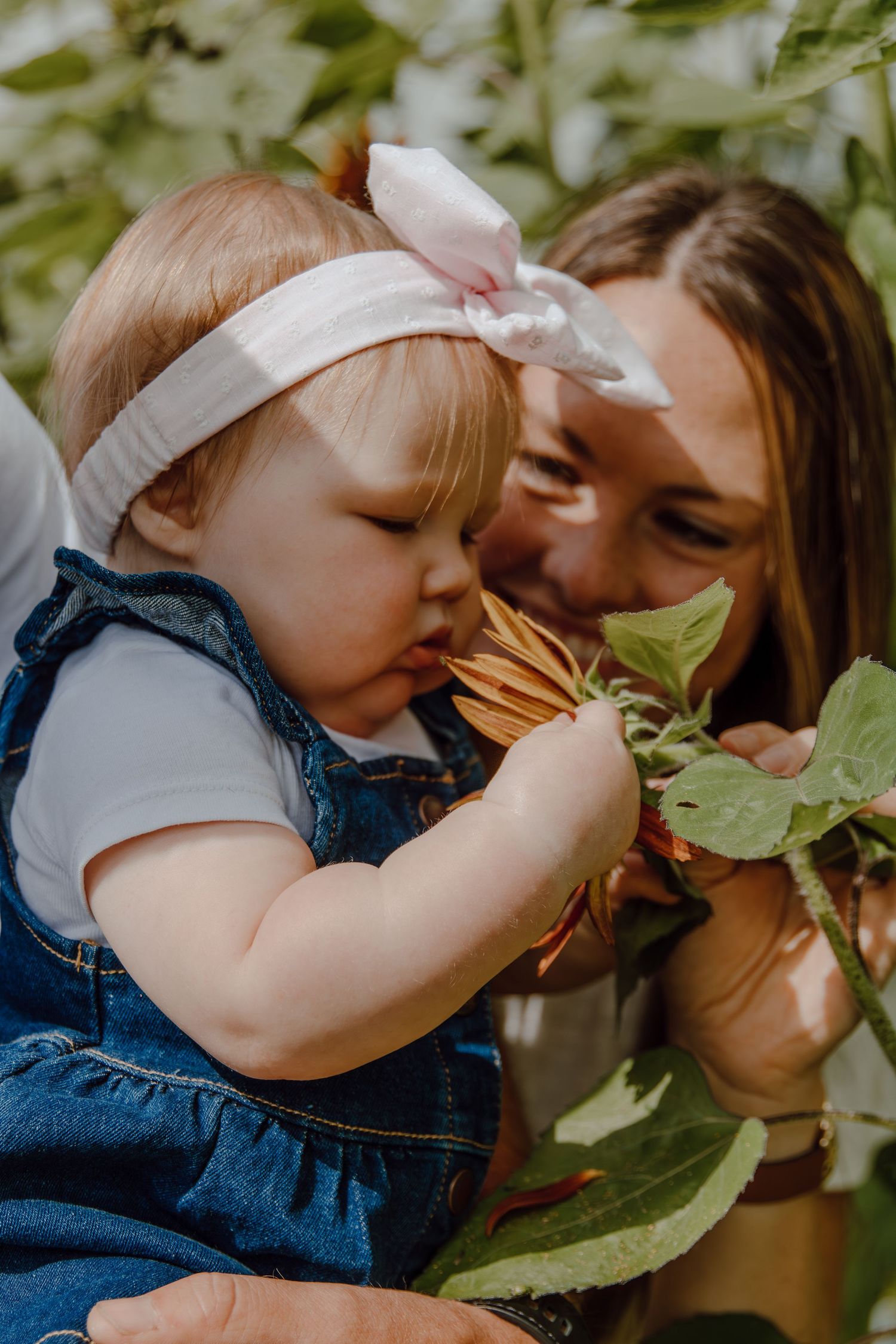 Close-up moments between parent and child among sunflower plants.