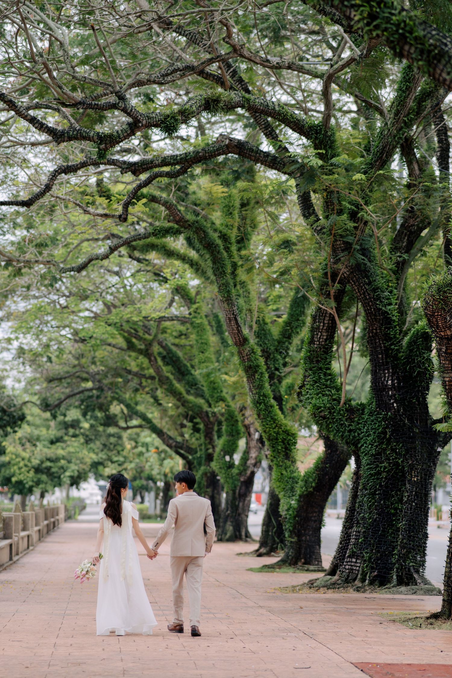 Tree-lined pathway with overhanging branches creates natural archway for romantic wedding photos.