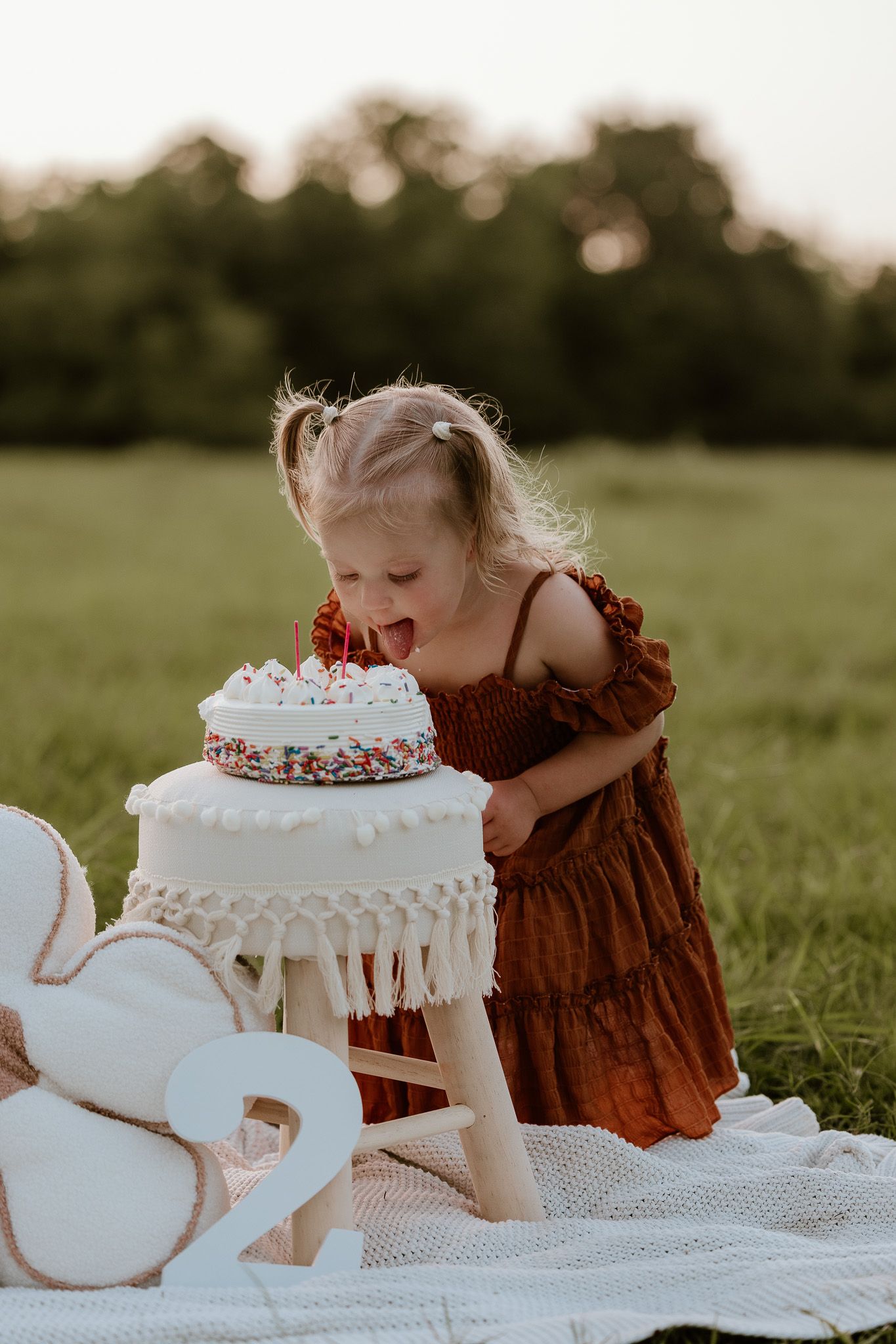 A joyful cake smash photography session for a little girl.