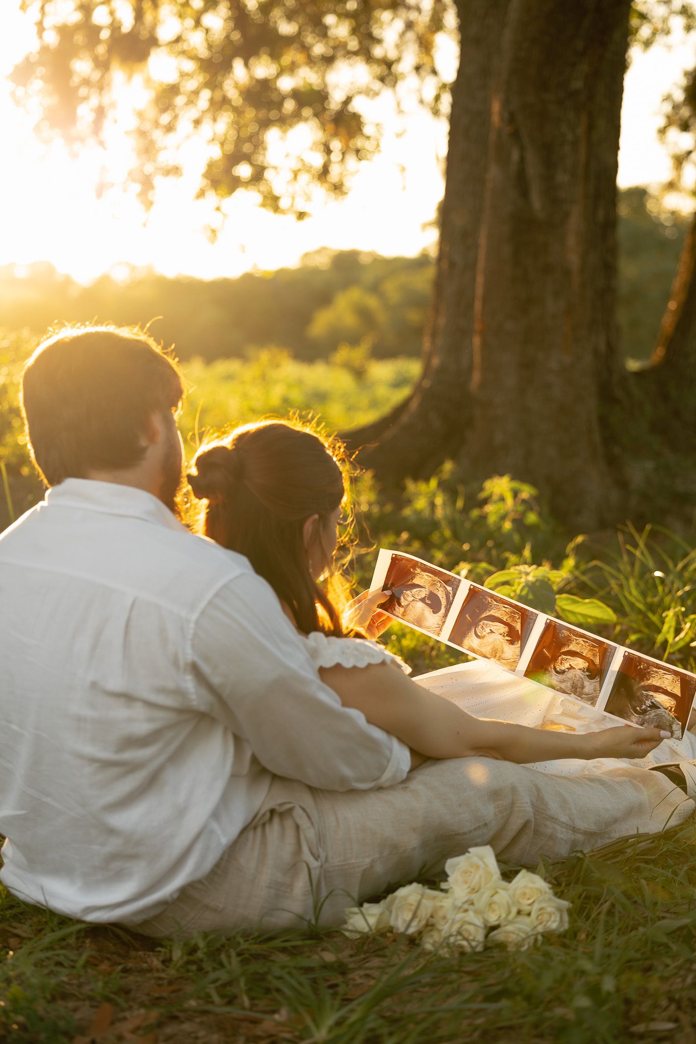 Couple sitting under a tree at golden hour, viewing ultrasound photos, with white flowers nearby.