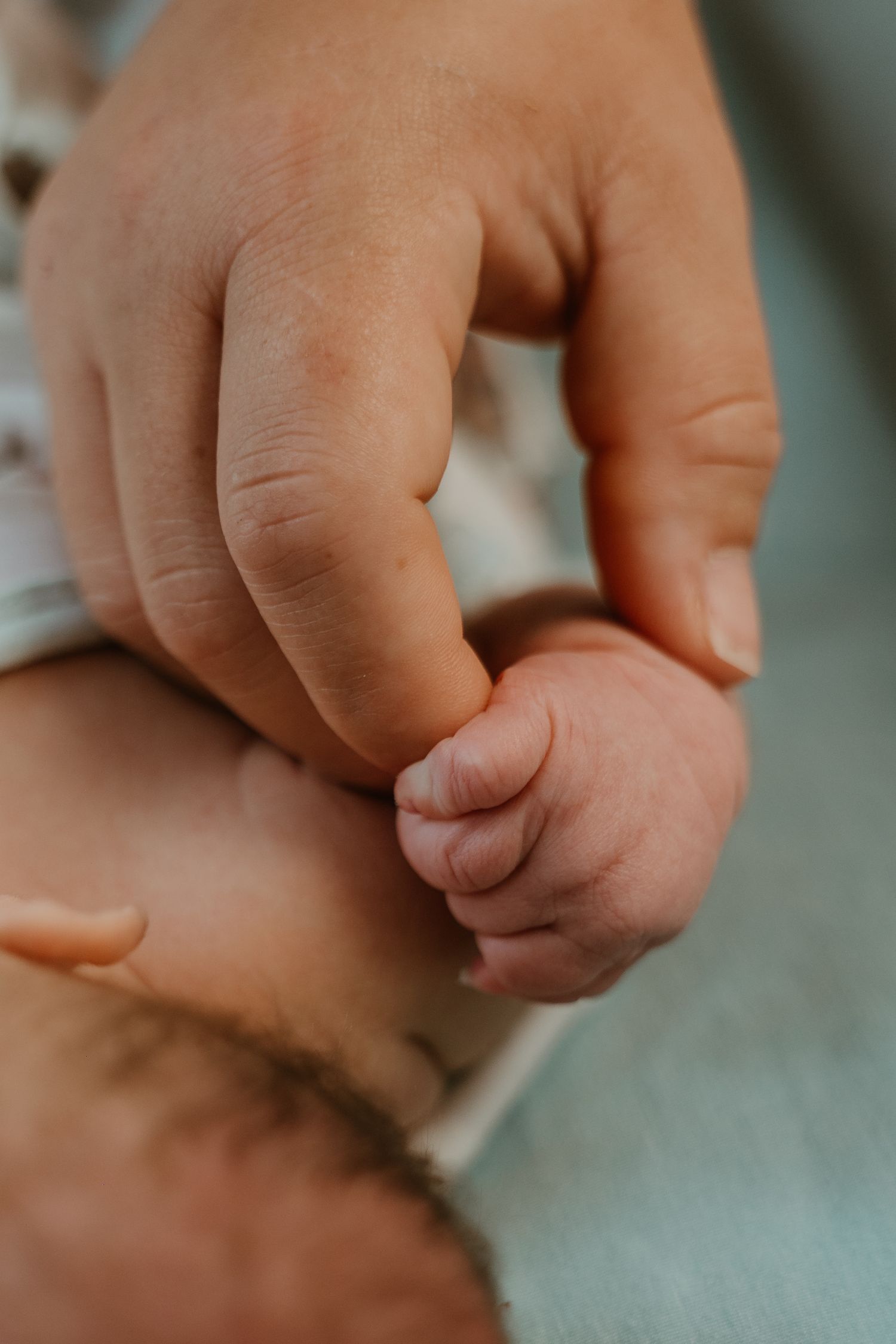 Close-up detail of tiny newborn baby fingers grasping moms hand.