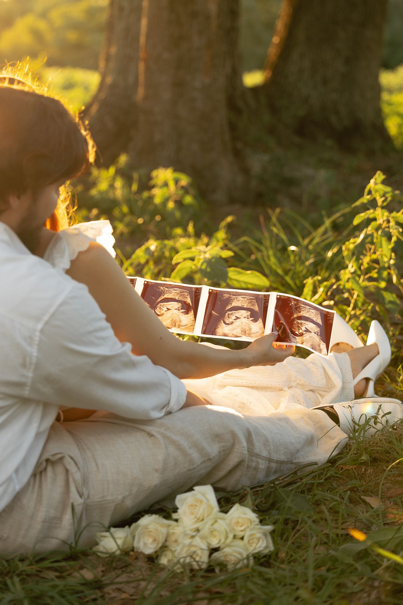 Pregnant woman sitting outdoors in golden light, holding ultrasound photos near white roses by a tree.
