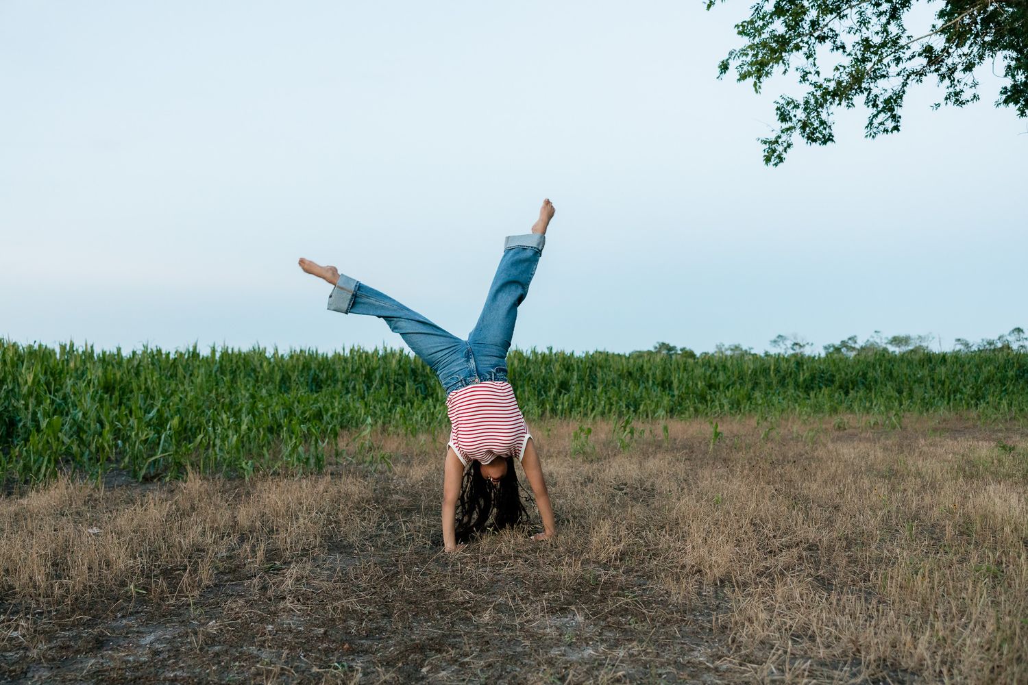Young girl doing a cartwheel in a grassy field near a cornfield on a clear day.
